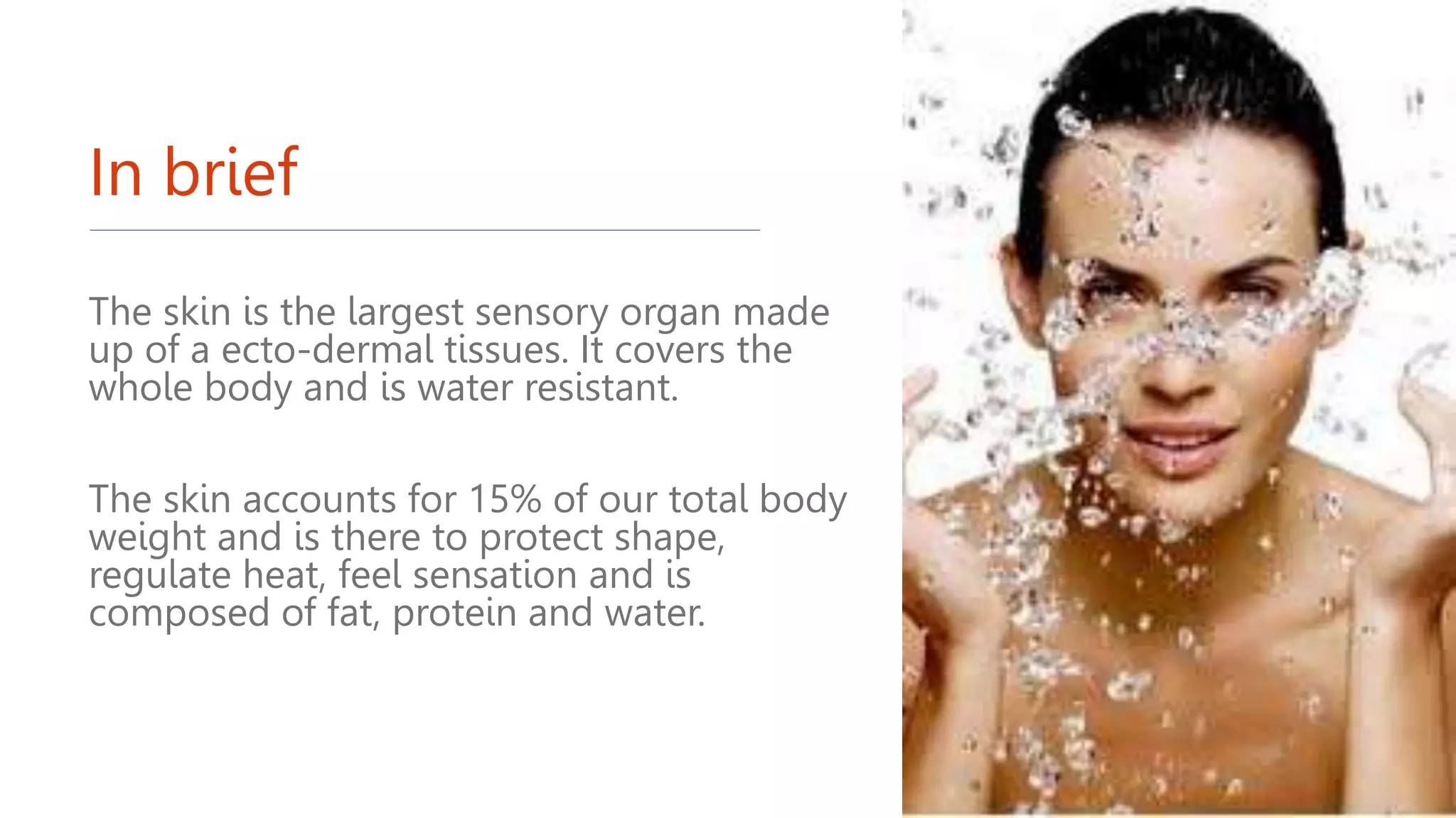 In brief
The skin is the largest sensory organ made
up of a ecto-dermal tissues. It covers the
whole body and is water resistant.
The skin accounts for 15% of our total body
weight and is there to protect shape,
regulate heat, feel sensation and is
composed of fat, protein and water.
 