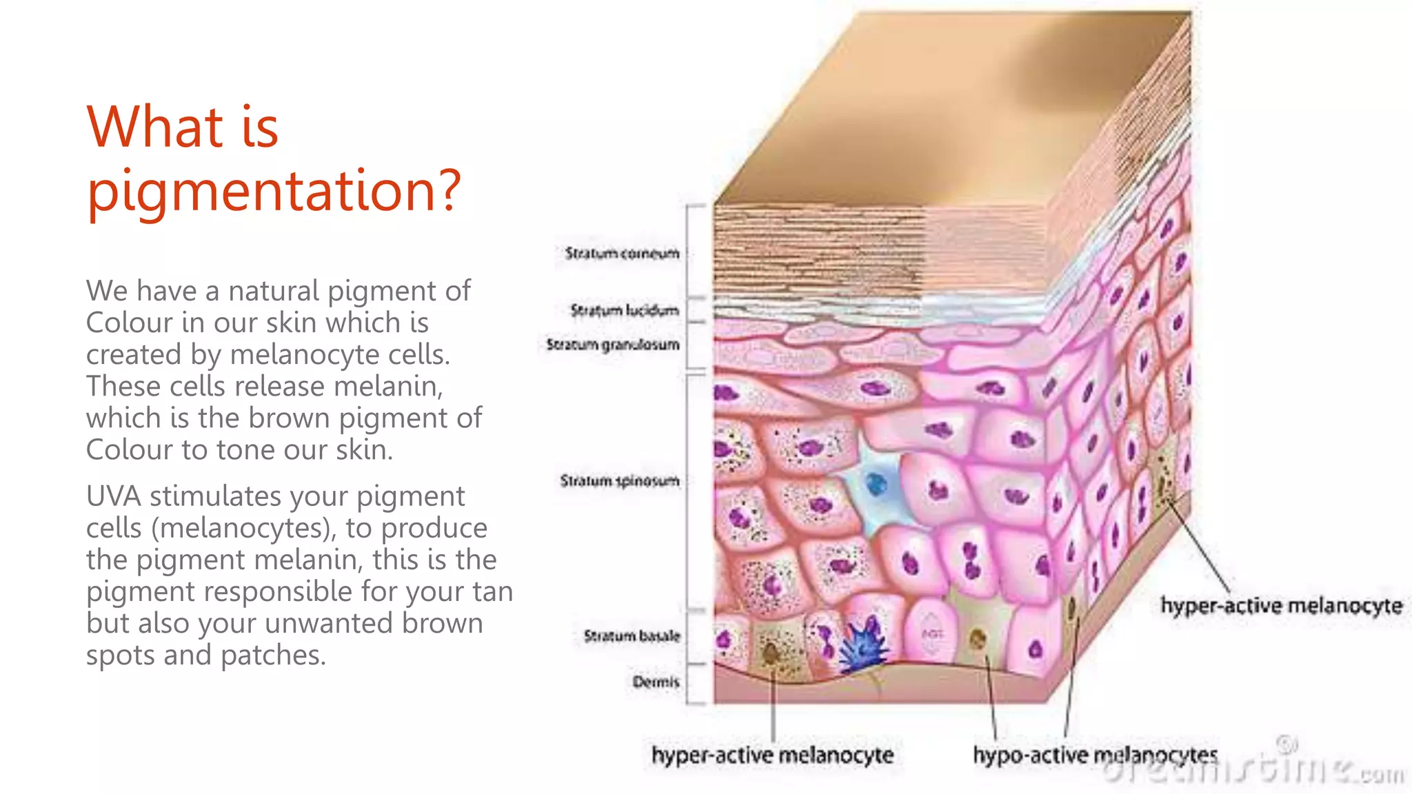 What is
pigmentation?
We have a natural pigment of
Colour in our skin which is
created by melanocyte cells.
These cells release melanin,
which is the brown pigment of
Colour to tone our skin.
UVA stimulates your pigment
cells (melanocytes), to produce
the pigment melanin, this is the
pigment responsible for your tan
but also your unwanted brown
spots and patches.
 