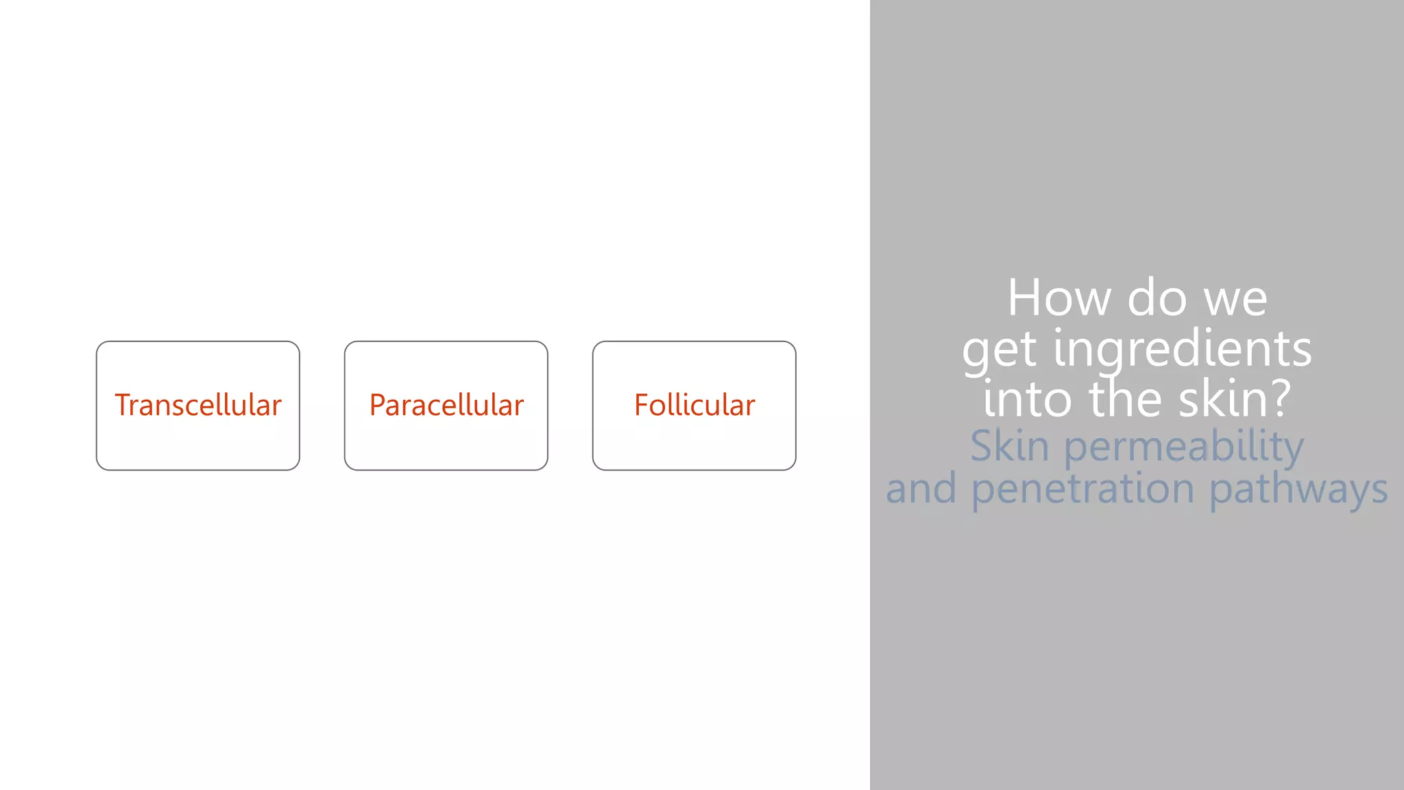 How do we
get ingredients
into the skin?
Skin permeability
and penetration pathways
Transcellular Paracellular Follicular
 