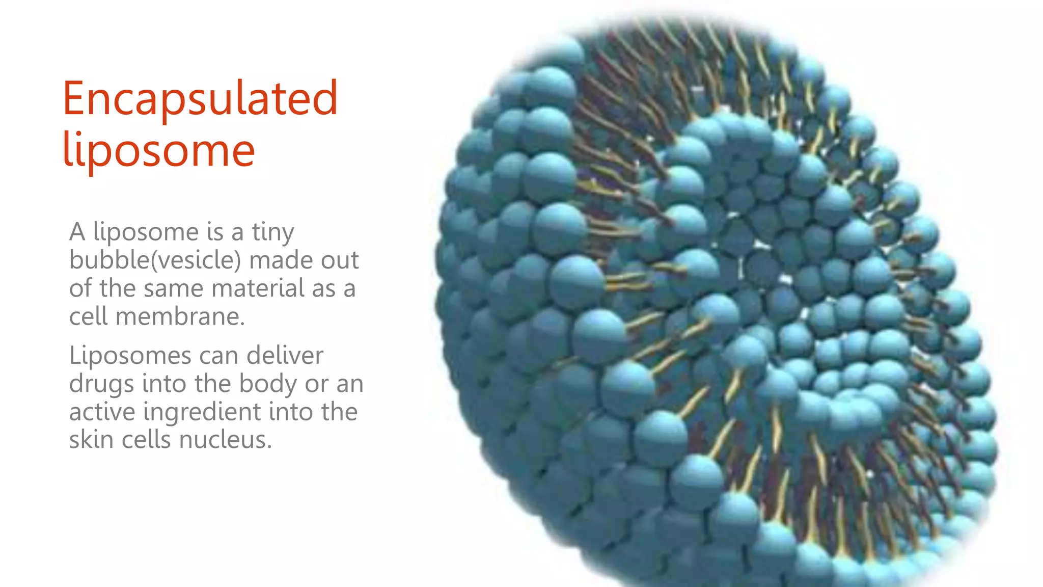 Encapsulated
liposome
A liposome is a tiny
bubble(vesicle) made out
of the same material as a
cell membrane.
Liposomes can deliver
drugs into the body or an
active ingredient into the
skin cells nucleus.
 