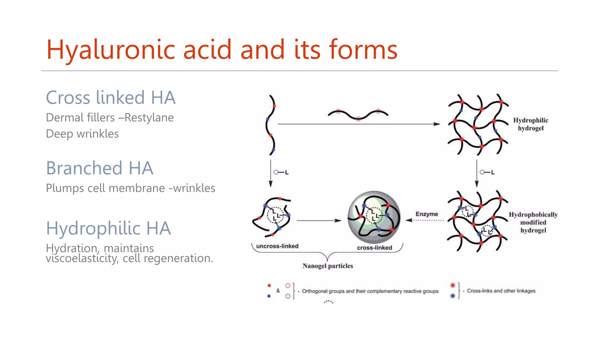 Hyaluronic acid and its forms
Cross linked HA
Dermal fillers –Restylane
Deep wrinkles
Branched HA
Plumps cell membrane -wrinkles
Hydrophilic HA
Hydration, maintains
viscoelasticity, cell regeneration.
 
