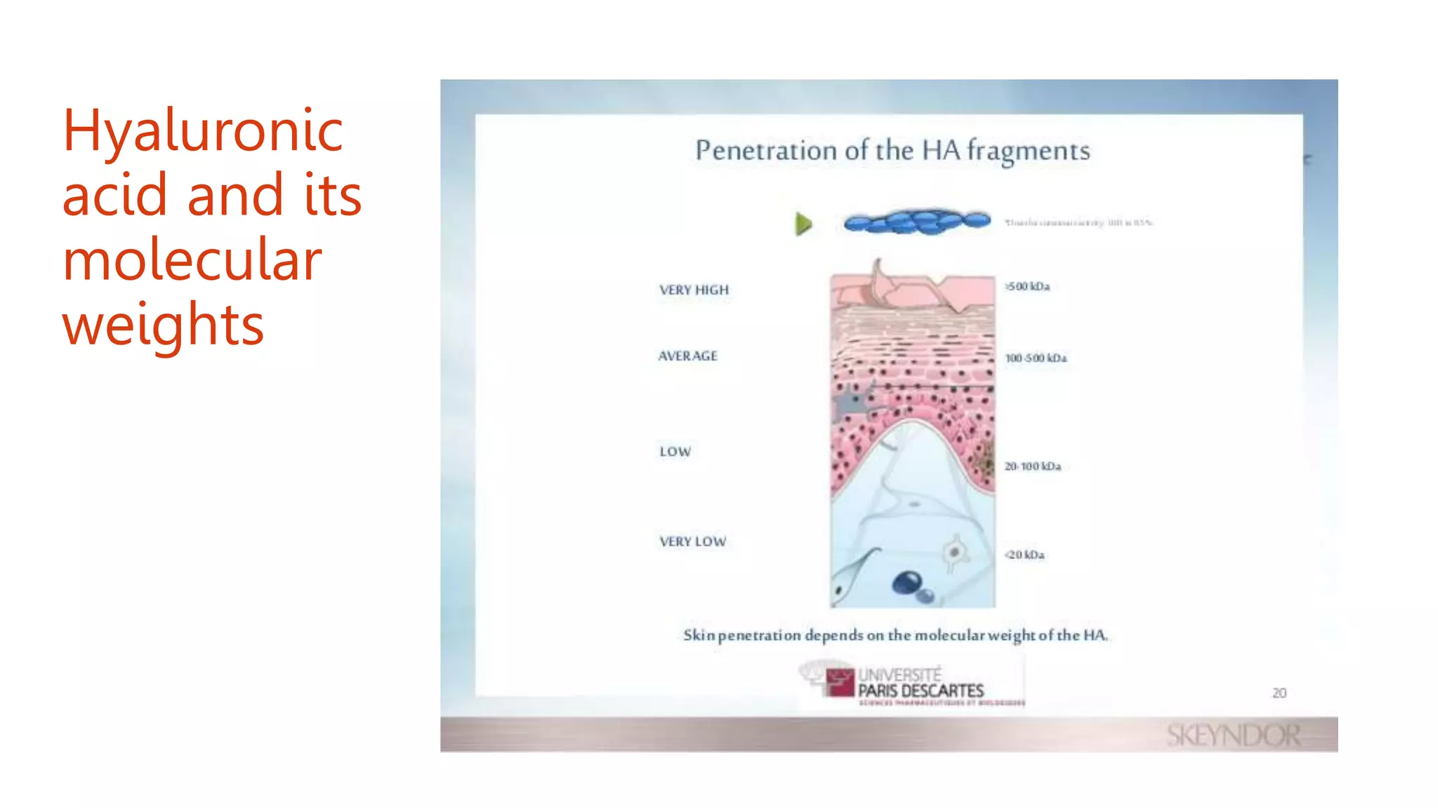 Hyaluronic
acid and its
molecular
weights
 