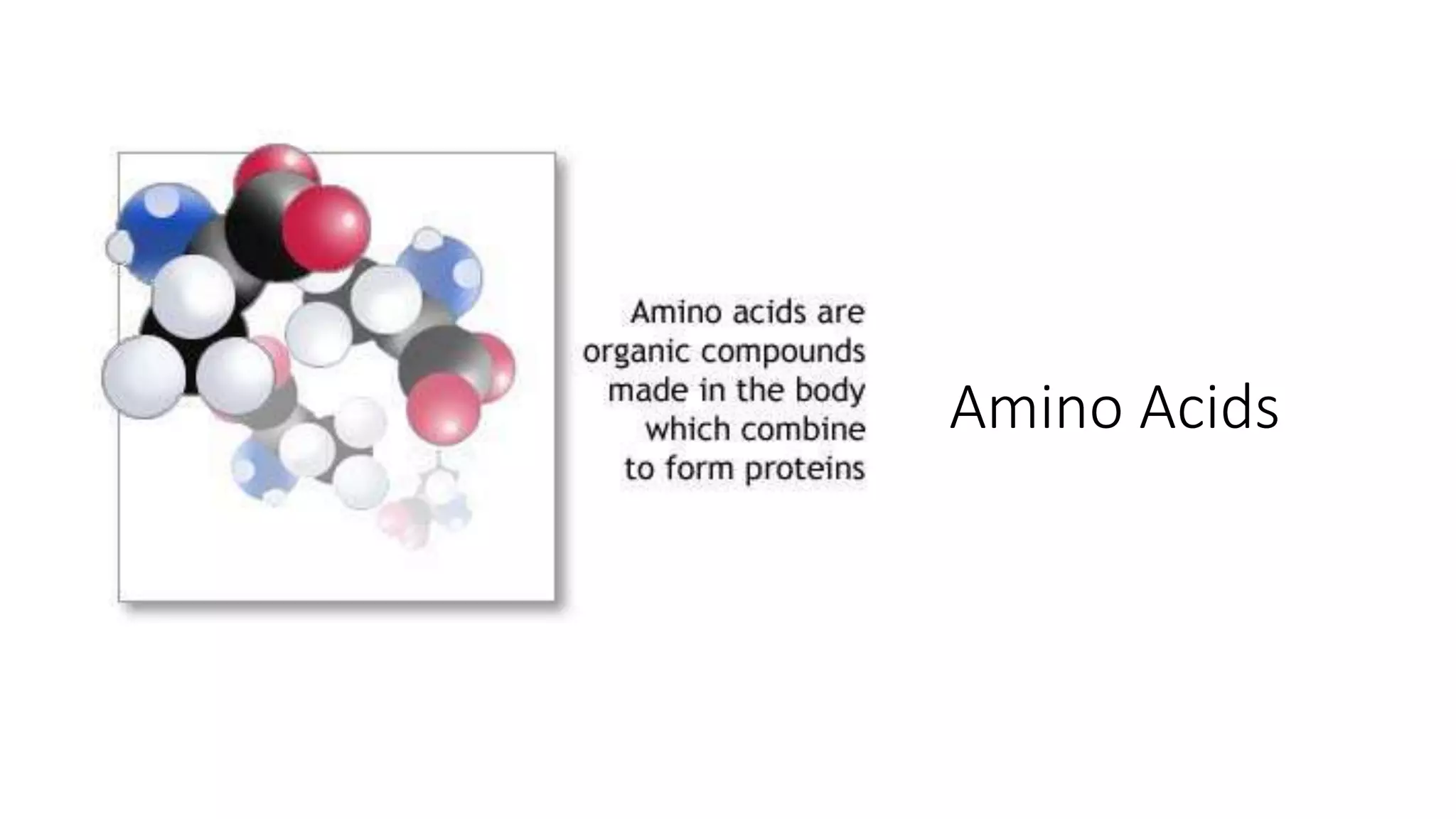Amino Acids
 