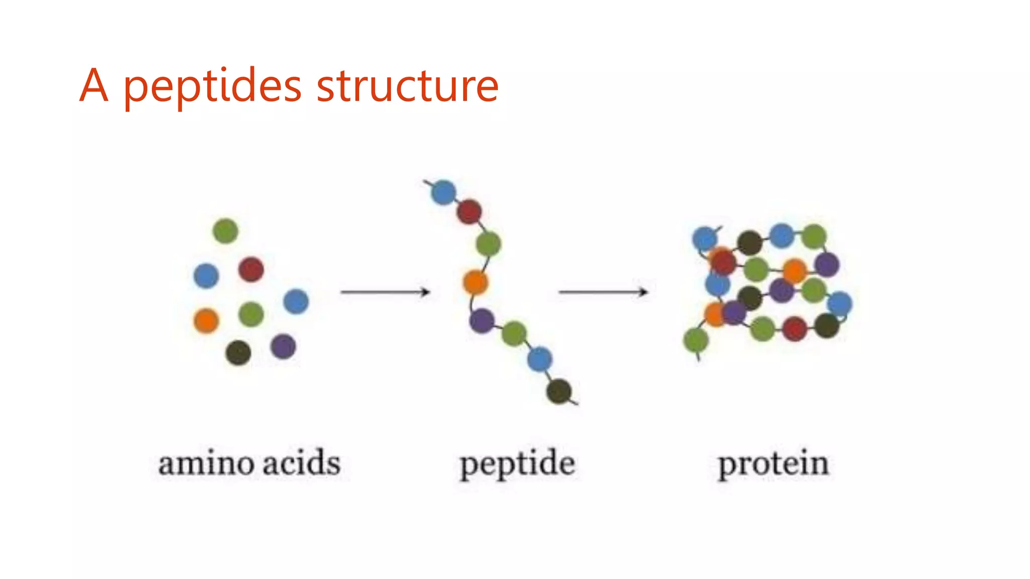 A peptides structure
 