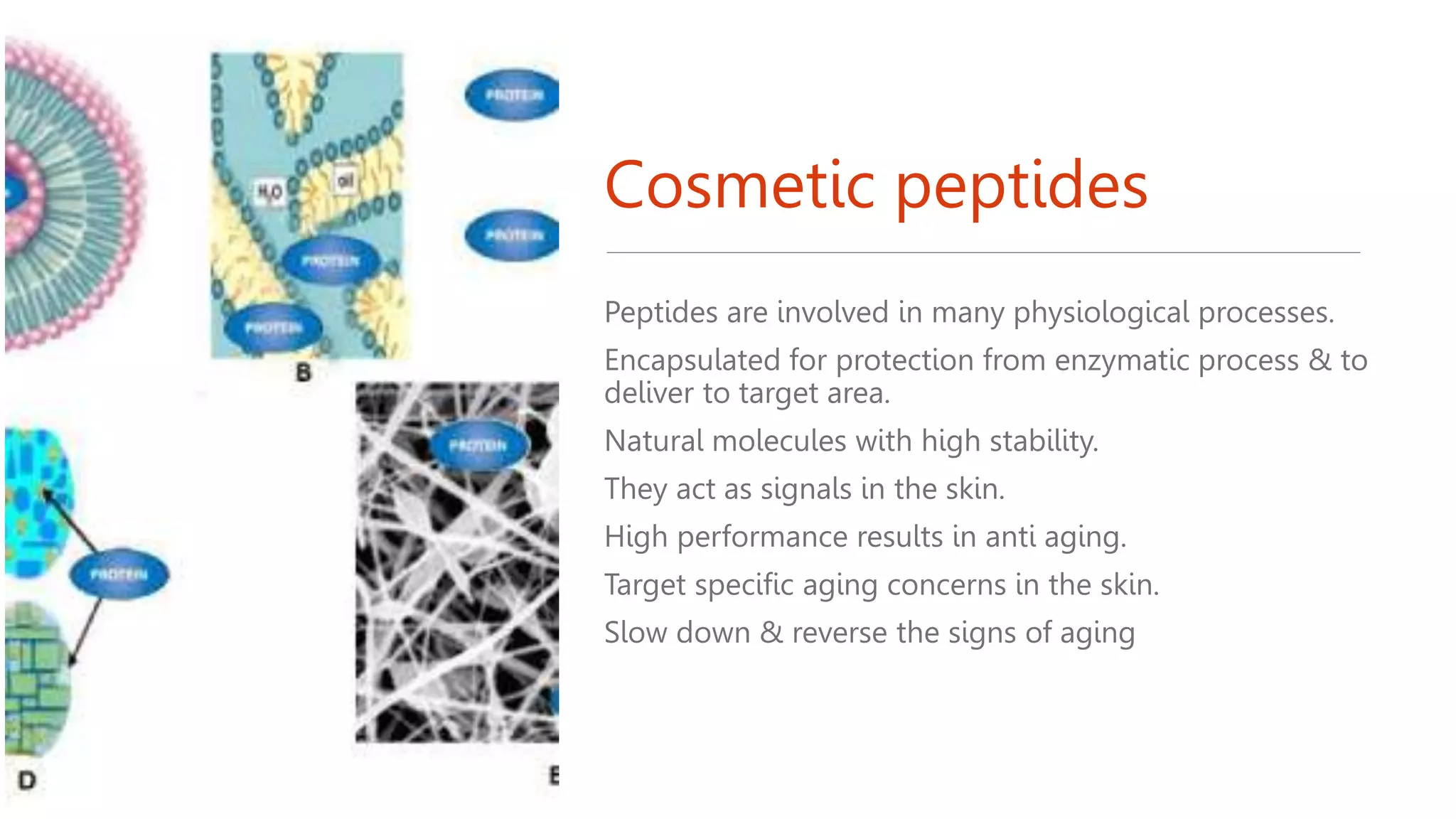 Cosmetic peptides
Peptides are involved in many physiological processes.
Encapsulated for protection from enzymatic process & to
deliver to target area.
Natural molecules with high stability.
They act as signals in the skin.
High performance results in anti aging.
Target specific aging concerns in the skin.
Slow down & reverse the signs of aging
 