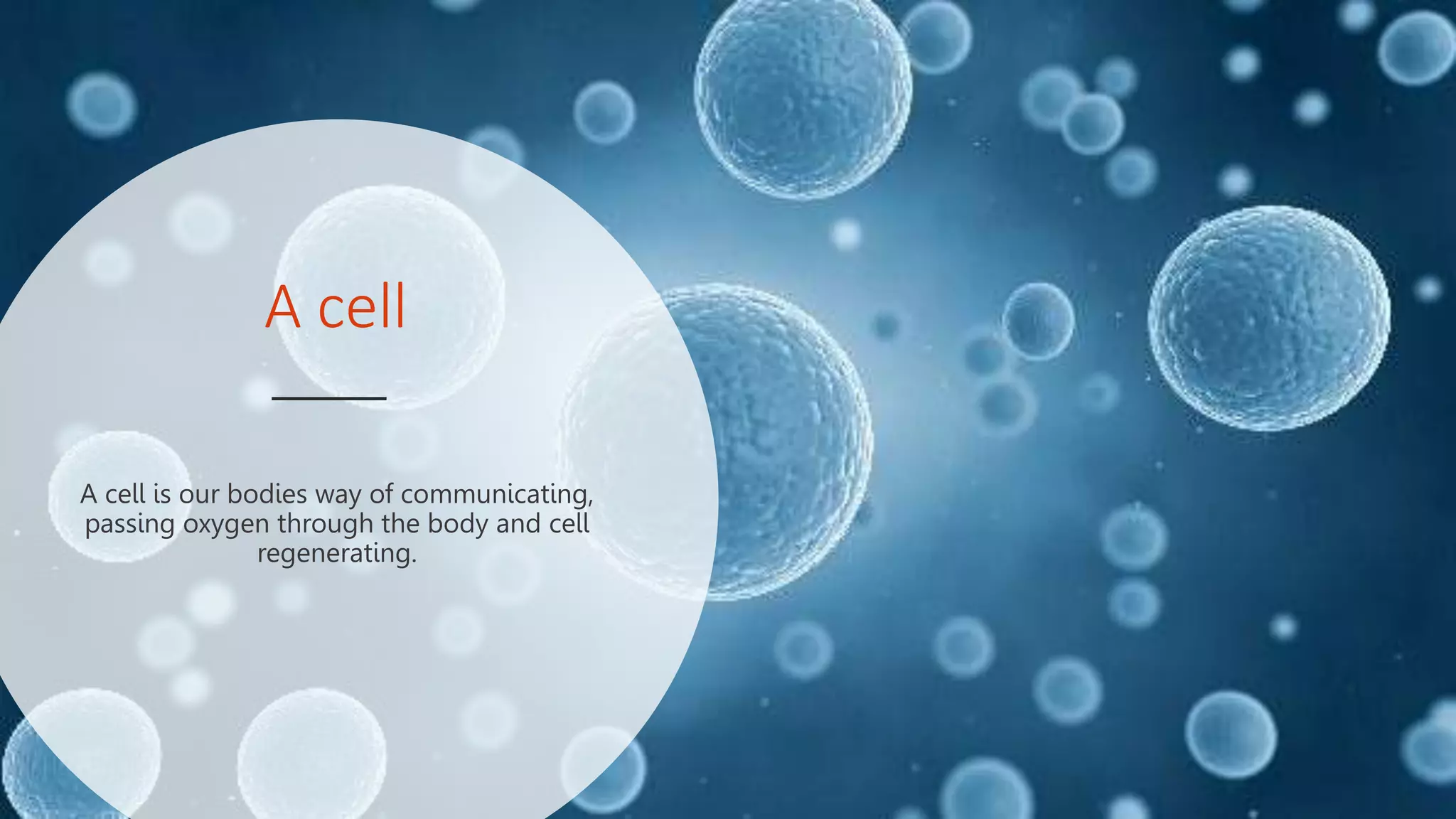 A cell
A cell is our bodies way of communicating,
passing oxygen through the body and cell
regenerating.
 
