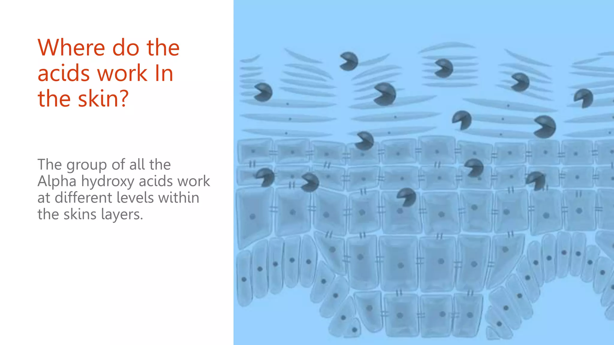 Where do the
acids work In
the skin?
The group of all the
Alpha hydroxy acids work
at different levels within
the skins layers.
 
