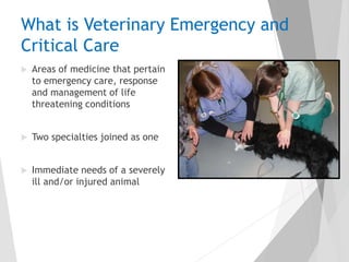  Areas of medicine that pertain
to emergency care, response
and management of life
threatening conditions
 Two specialties joined as one
 Immediate needs of a severely
ill and/or injured animal
What is Veterinary Emergency and
Critical Care
 