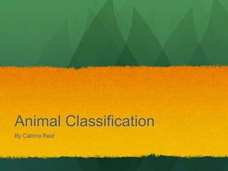 Animal Classification
By Catrina Reid
 