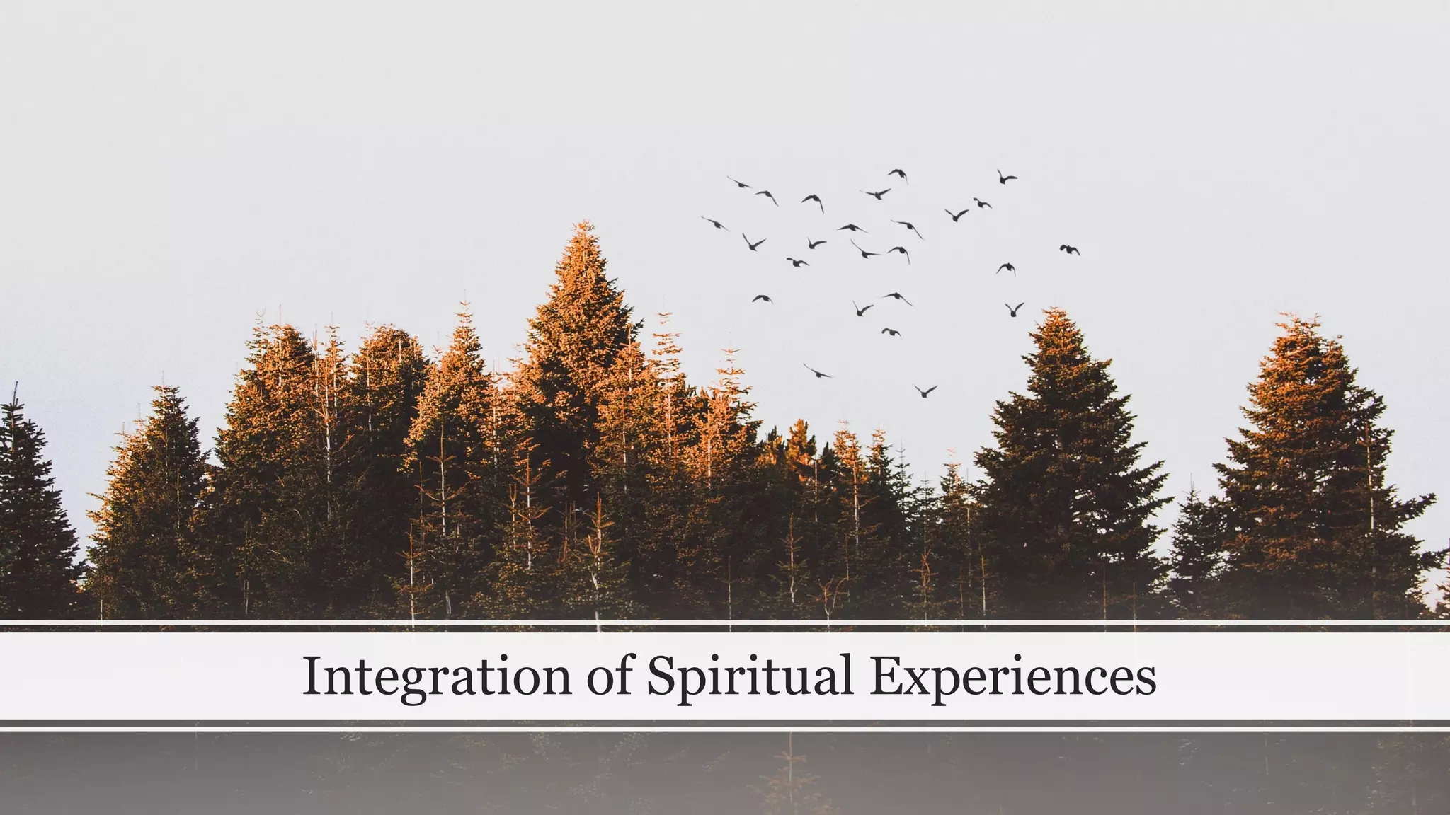 Integration of Spiritual Experiences
 
