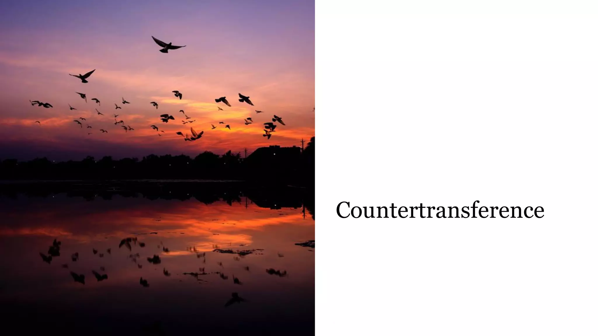 Countertransference
 