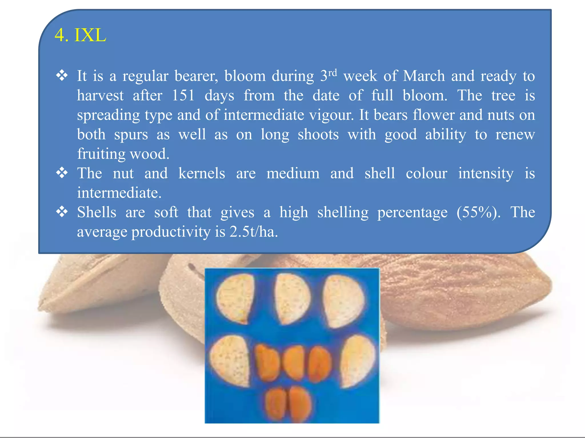 Advanced production technology of almond | PPTX