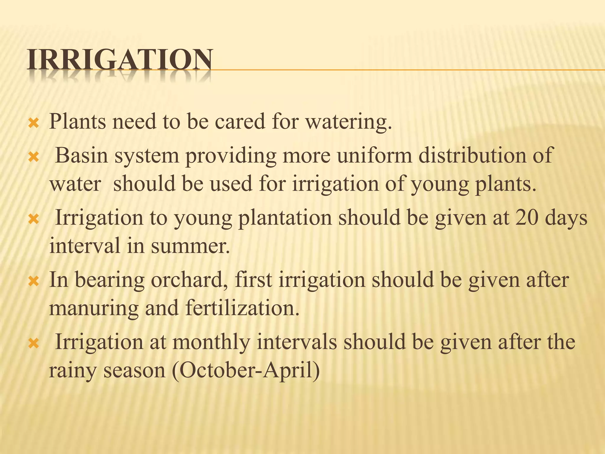 IRRIGATION
 Plants need to be cared for watering.
 Basin system providing more uniform distribution of
water should be used for irrigation of young plants.
 Irrigation to young plantation should be given at 20 days
interval in summer.
 In bearing orchard, first irrigation should be given after
manuring and fertilization.
 Irrigation at monthly intervals should be given after the
rainy season (October-April)
 
