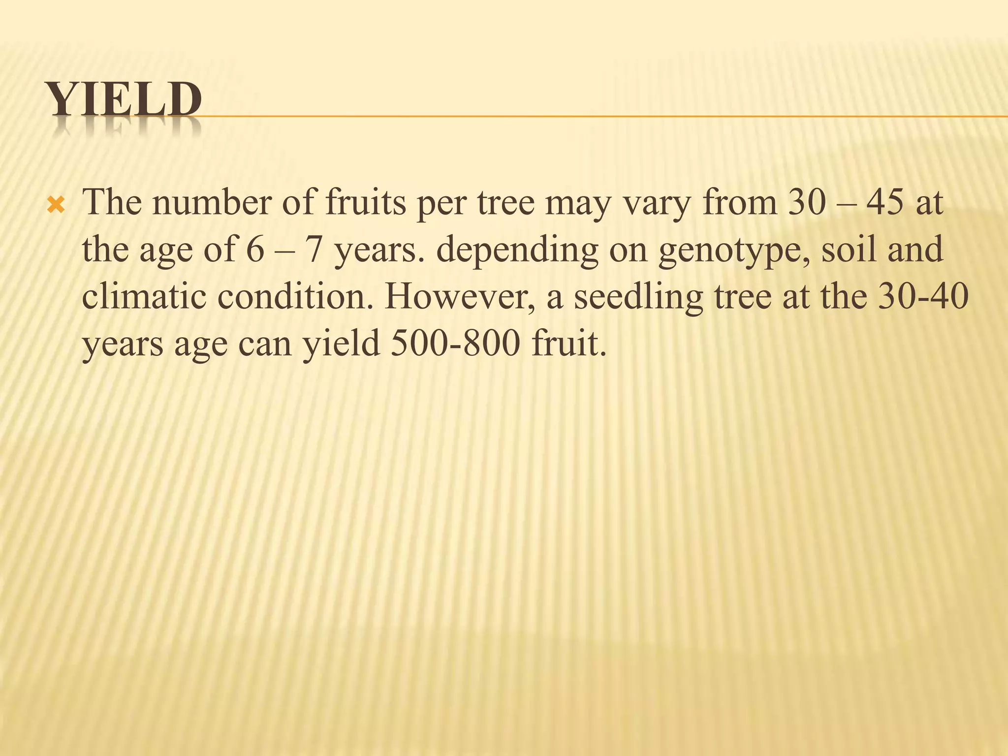 YIELD
 The number of fruits per tree may vary from 30 – 45 at
the age of 6 – 7 years. depending on genotype, soil and
climatic condition. However, a seedling tree at the 30-40
years age can yield 500-800 fruit.
 