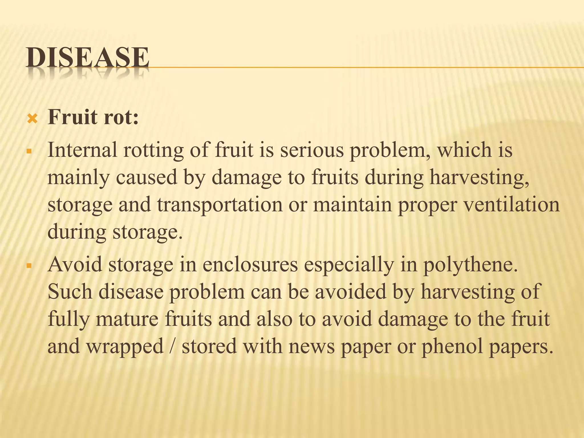 DISEASE
 Fruit rot:
 Internal rotting of fruit is serious problem, which is
mainly caused by damage to fruits during harvesting,
storage and transportation or maintain proper ventilation
during storage.
 Avoid storage in enclosures especially in polythene.
Such disease problem can be avoided by harvesting of
fully mature fruits and also to avoid damage to the fruit
and wrapped / stored with news paper or phenol papers.
 