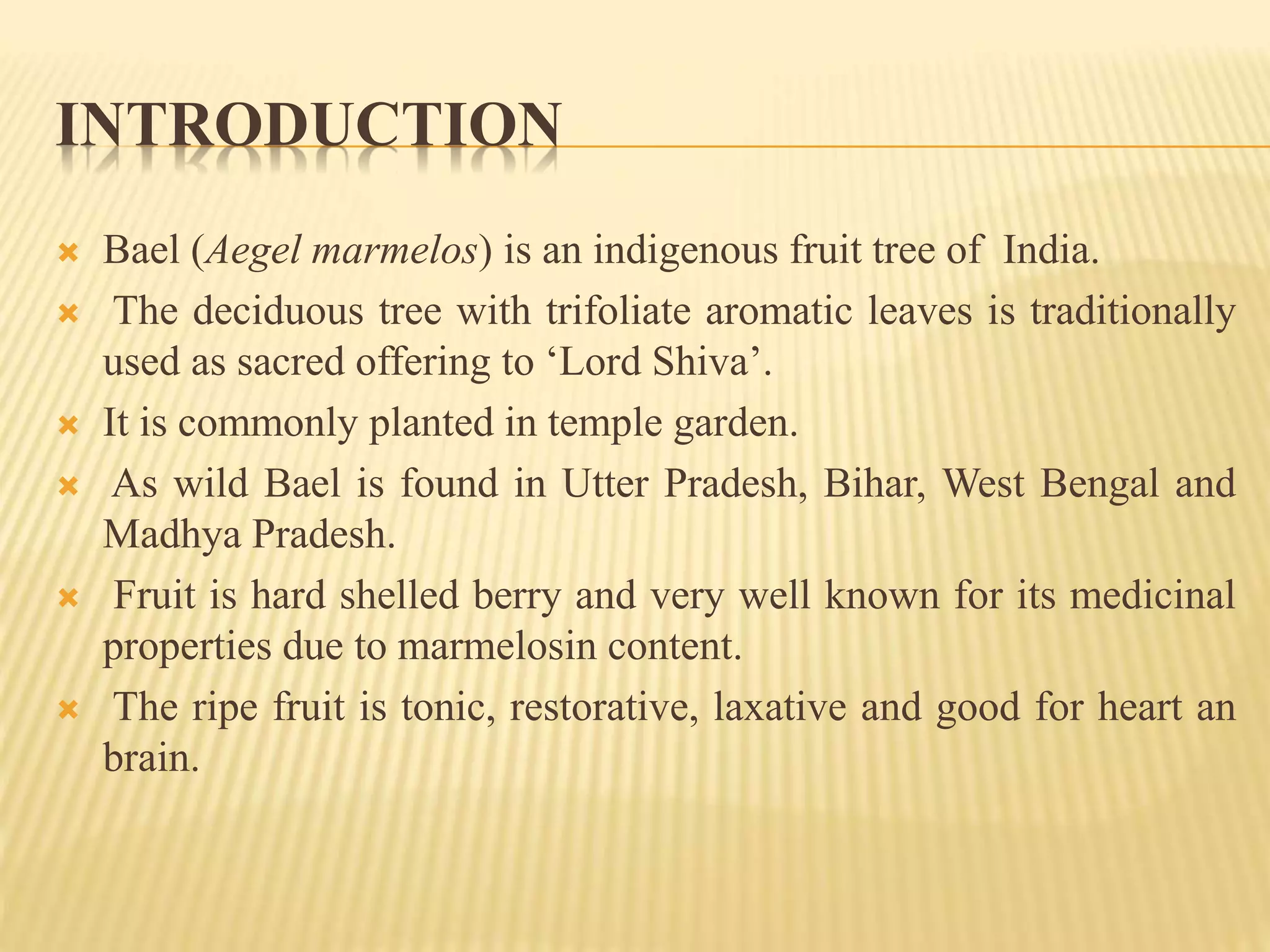 INTRODUCTION
 Bael (Aegel marmelos) is an indigenous fruit tree of India.
 The deciduous tree with trifoliate aromatic leaves is traditionally
used as sacred offering to ‘Lord Shiva’.
 It is commonly planted in temple garden.
 As wild Bael is found in Utter Pradesh, Bihar, West Bengal and
Madhya Pradesh.
 Fruit is hard shelled berry and very well known for its medicinal
properties due to marmelosin content.
 The ripe fruit is tonic, restorative, laxative and good for heart an
brain.
 