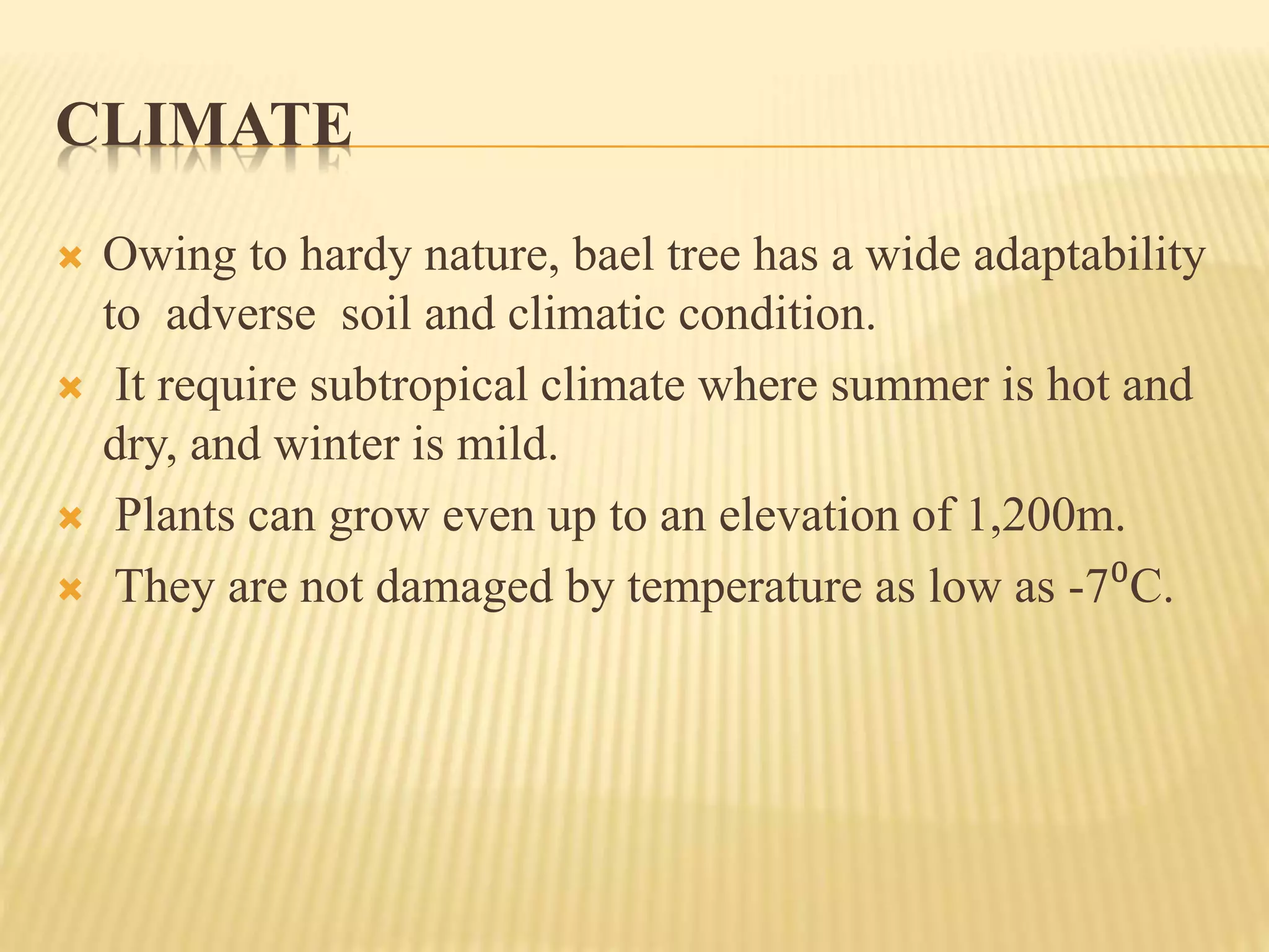 CLIMATE
 Owing to hardy nature, bael tree has a wide adaptability
to adverse soil and climatic condition.
 It require subtropical climate where summer is hot and
dry, and winter is mild.
 Plants can grow even up to an elevation of 1,200m.
 They are not damaged by temperature as low as -7⁰C.
 