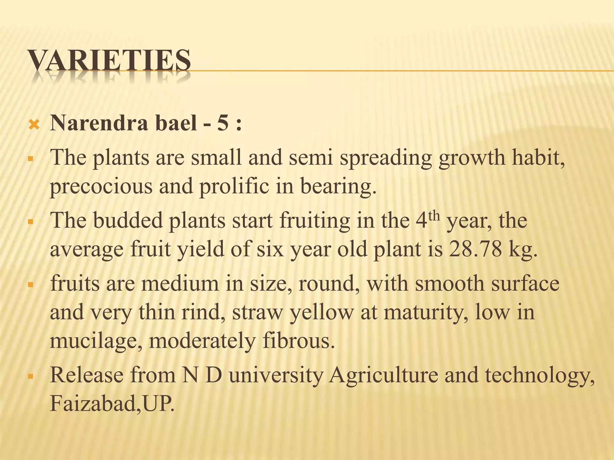 VARIETIES
 Narendra bael - 5 :
 The plants are small and semi spreading growth habit,
precocious and prolific in bearing.
 The budded plants start fruiting in the 4th year, the
average fruit yield of six year old plant is 28.78 kg.
 fruits are medium in size, round, with smooth surface
and very thin rind, straw yellow at maturity, low in
mucilage, moderately fibrous.
 Release from N D university Agriculture and technology,
Faizabad,UP.
 