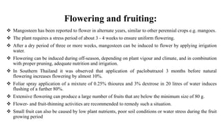 Flowering and fruiting:
 Mangosteen has been reported to flower in alternate years, similar to other perennial crops e.g....