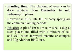 • Planting time: The planting of trees can be
done anytime from December to mid
February in plains.
• However in hills, la...