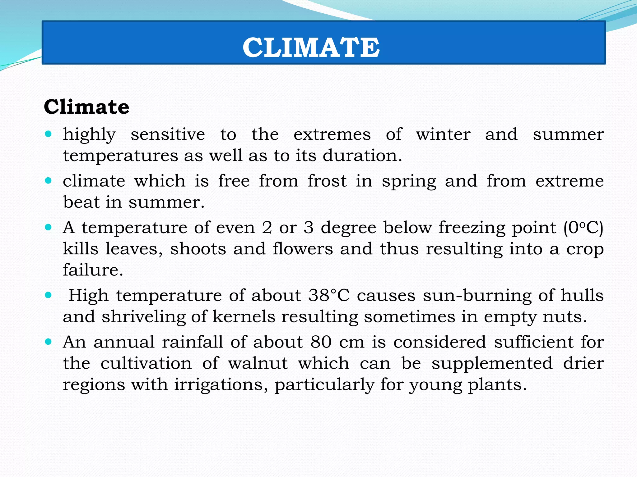 CLIMATE
Climate
 highly sensitive to the extremes of winter and summer
temperatures as well as to its duration.
 climate which is free from frost in spring and from extreme
beat in summer.
 A temperature of even 2 or 3 degree below freezing point (0oC)
kills leaves, shoots and flowers and thus resulting into a crop
failure.
 High temperature of about 38°C causes sun-burning of hulls
and shriveling of kernels resulting sometimes in empty nuts.
 An annual rainfall of about 80 cm is considered sufficient for
the cultivation of walnut which can be supplemented drier
regions with irrigations, particularly for young plants.
 