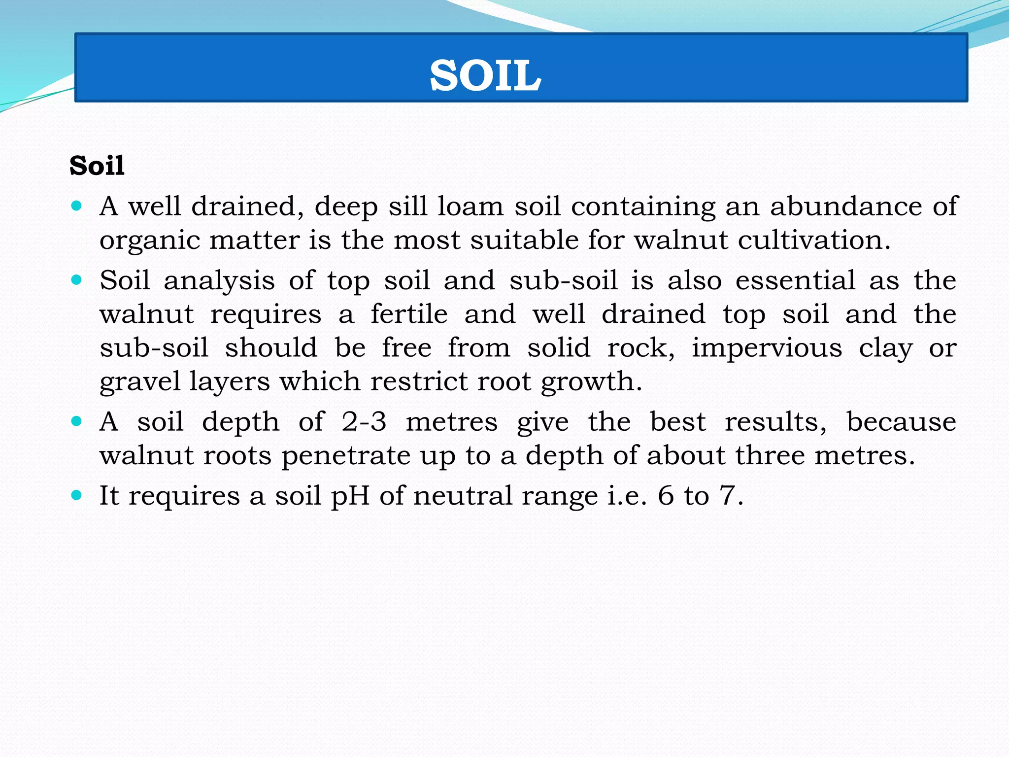SOIL
Soil
 A well drained, deep sill loam soil containing an abundance of
organic matter is the most suitable for walnut cultivation.
 Soil analysis of top soil and sub-soil is also essential as the
walnut requires a fertile and well drained top soil and the
sub-soil should be free from solid rock, impervious clay or
gravel layers which restrict root growth.
 A soil depth of 2-3 metres give the best results, because
walnut roots penetrate up to a depth of about three metres.
 It requires a soil pH of neutral range i.e. 6 to 7.
 