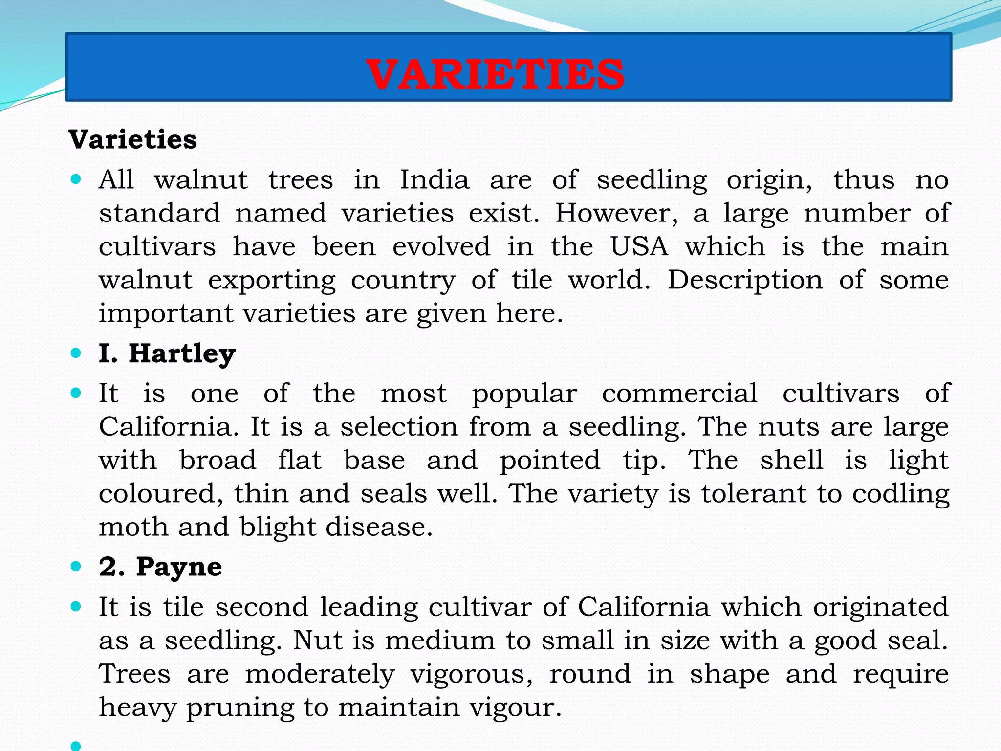 VARIETIES
Varieties
 All walnut trees in India are of seedling origin, thus no
standard named varieties exist. However, a large number of
cultivars have been evolved in the USA which is the main
walnut exporting country of tile world. Description of some
important varieties are given here.
 I. Hartley
 It is one of the most popular commercial cultivars of
California. It is a selection from a seedling. The nuts are large
with broad flat base and pointed tip. The shell is light
coloured, thin and seals well. The variety is tolerant to codling
moth and blight disease.
 2. Payne
 It is tile second leading cultivar of California which originated
as a seedling. Nut is medium to small in size with a good seal.
Trees are moderately vigorous, round in shape and require
heavy pruning to maintain vigour.
 