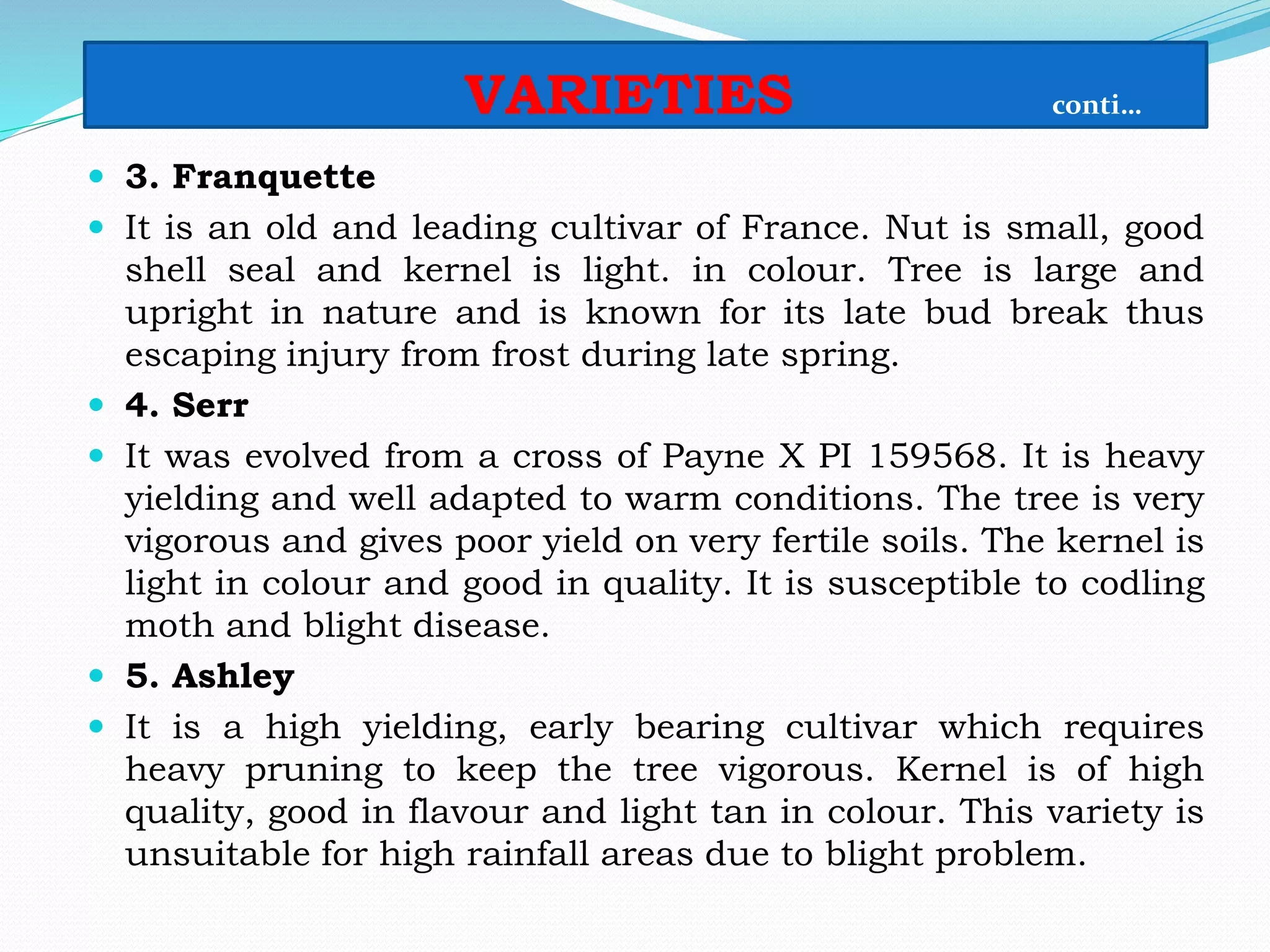 VARIETIES conti…
 3. Franquette
 It is an old and leading cultivar of France. Nut is small, good
shell seal and kernel is light. in colour. Tree is large and
upright in nature and is known for its late bud break thus
escaping injury from frost during late spring.
 4. Serr
 It was evolved from a cross of Payne X PI 159568. It is heavy
yielding and well adapted to warm conditions. The tree is very
vigorous and gives poor yield on very fertile soils. The kernel is
light in colour and good in quality. It is susceptible to codling
moth and blight disease.
 5. Ashley
 It is a high yielding, early bearing cultivar which requires
heavy pruning to keep the tree vigorous. Kernel is of high
quality, good in flavour and light tan in colour. This variety is
unsuitable for high rainfall areas due to blight problem.
 