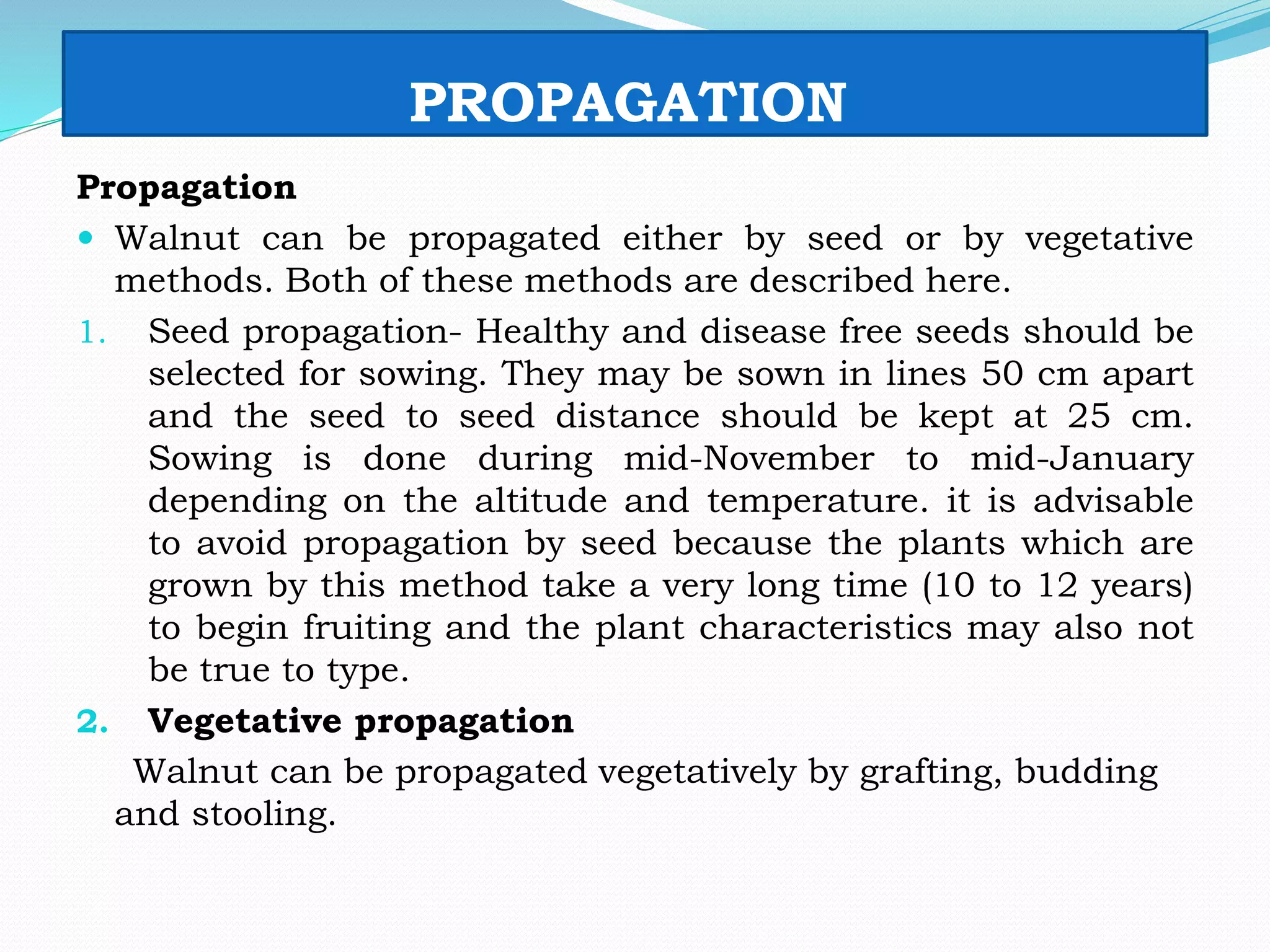 PROPAGATION
Propagation
 Walnut can be propagated either by seed or by vegetative
methods. Both of these methods are described here.
1. Seed propagation- Healthy and disease free seeds should be
selected for sowing. They may be sown in lines 50 cm apart
and the seed to seed distance should be kept at 25 cm.
Sowing is done during mid-November to mid-January
depending on the altitude and temperature. it is advisable
to avoid propagation by seed because the plants which are
grown by this method take a very long time (10 to 12 years)
to begin fruiting and the plant characteristics may also not
be true to type.
2. Vegetative propagation
Walnut can be propagated vegetatively by grafting, budding
and stooling.
 