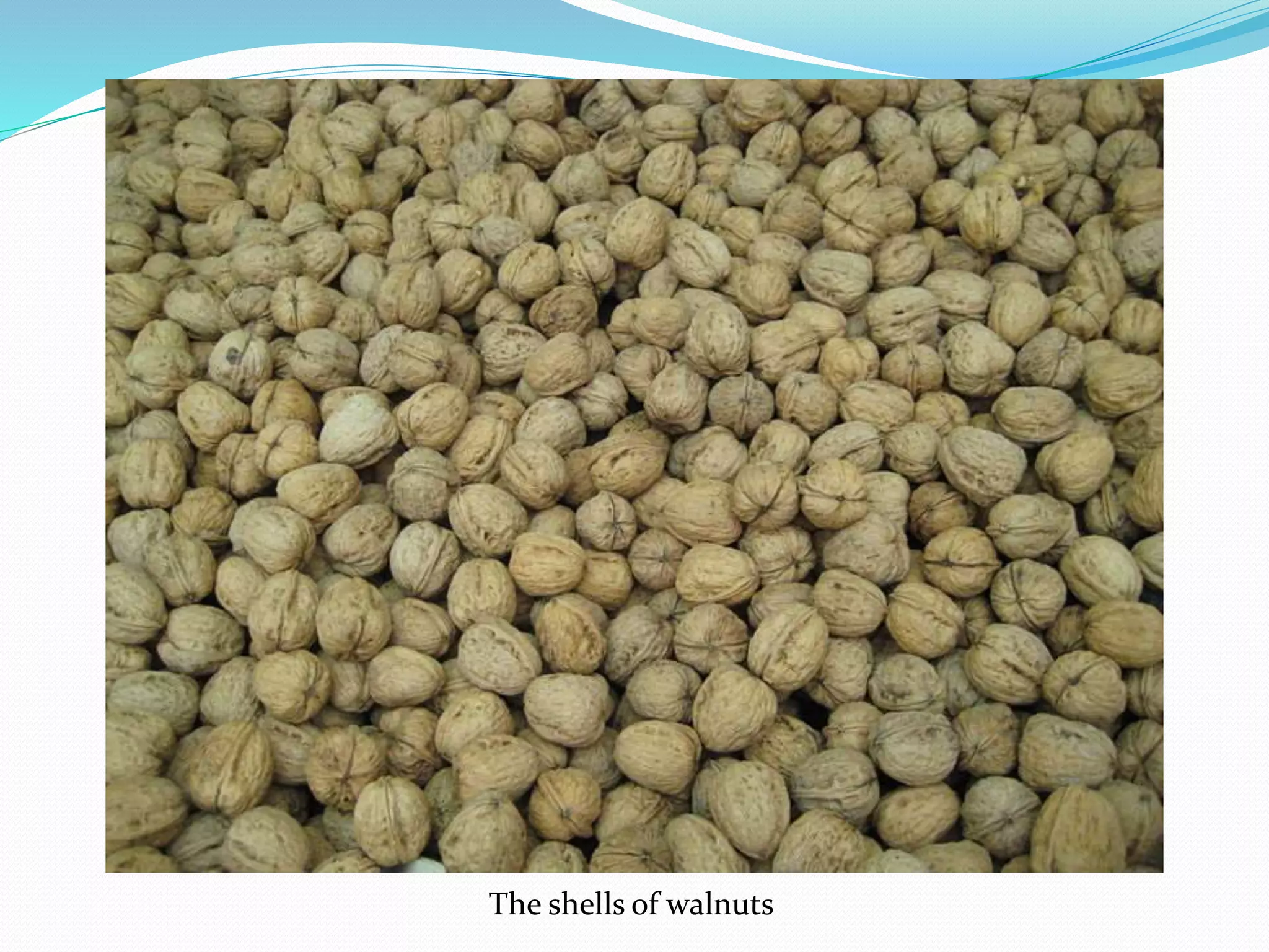 The shells of walnuts
 