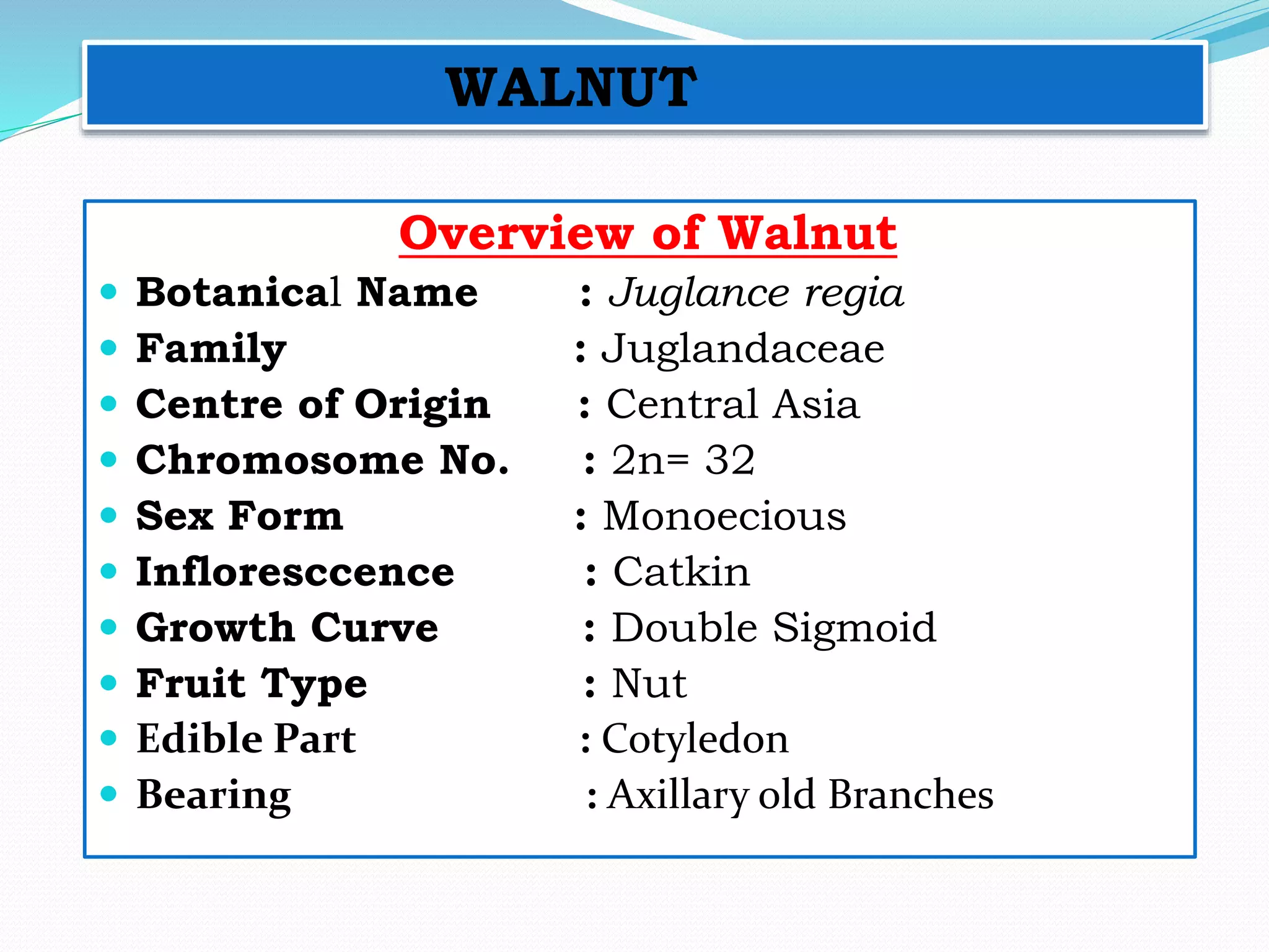 WALNUT
Overview of Walnut
 Botanical Name : Juglance regia
 Family : Juglandaceae
 Centre of Origin : Central Asia
 Chromosome No. : 2n= 32
 Sex Form : Monoecious
 Infloresccence : Catkin
 Growth Curve : Double Sigmoid
 Fruit Type : Nut
 Edible Part : Cotyledon
 Bearing : Axillary old Branches
 