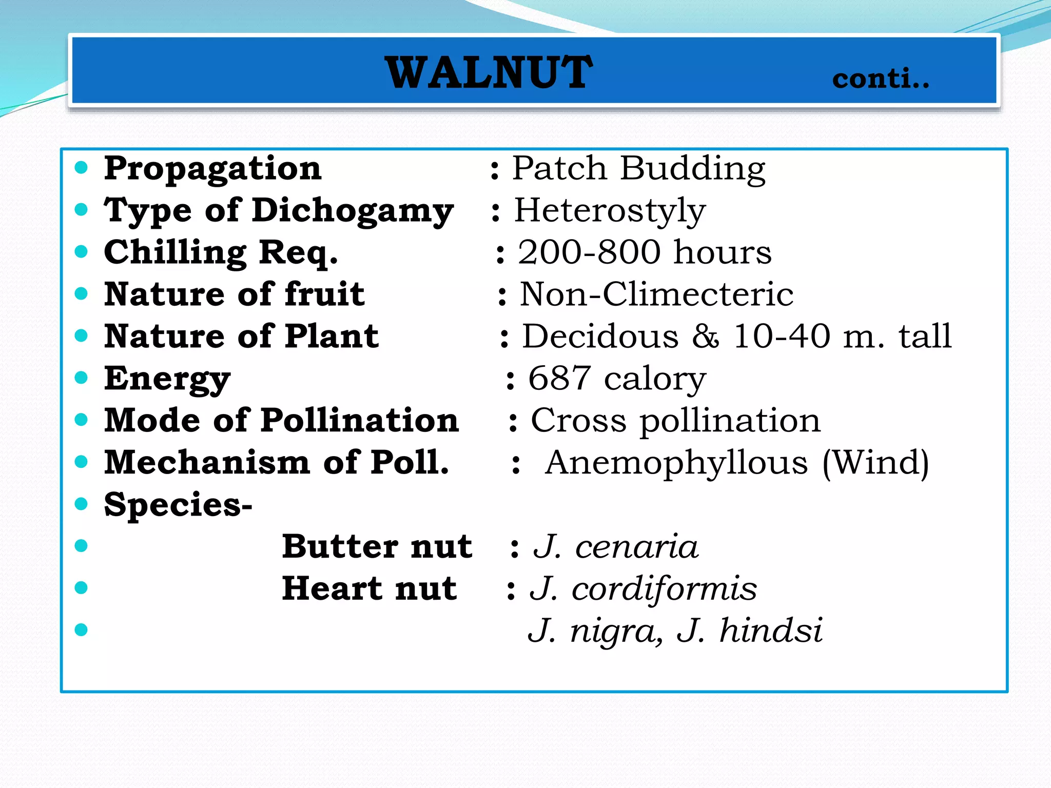 WALNUT conti..
 Propagation : Patch Budding
 Type of Dichogamy : Heterostyly
 Chilling Req. : 200-800 hours
 Nature of fruit : Non-Climecteric
 Nature of Plant : Decidous & 10-40 m. tall
 Energy : 687 calory
 Mode of Pollination : Cross pollination
 Mechanism of Poll. : Anemophyllous (Wind)
 Species-
 Butter nut : J. cenaria
 Heart nut : J. cordiformis
 J. nigra, J. hindsi
 
