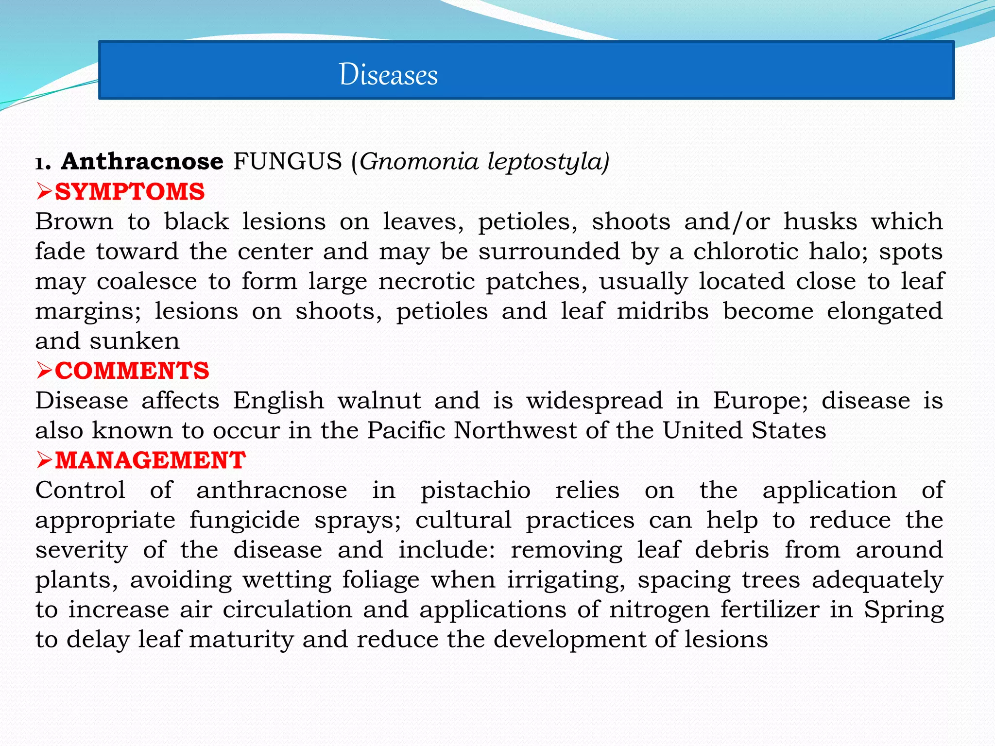 1. Anthracnose FUNGUS (Gnomonia leptostyla)
SYMPTOMS
Brown to black lesions on leaves, petioles, shoots and/or husks which
fade toward the center and may be surrounded by a chlorotic halo; spots
may coalesce to form large necrotic patches, usually located close to leaf
margins; lesions on shoots, petioles and leaf midribs become elongated
and sunken
COMMENTS
Disease affects English walnut and is widespread in Europe; disease is
also known to occur in the Pacific Northwest of the United States
MANAGEMENT
Control of anthracnose in pistachio relies on the application of
appropriate fungicide sprays; cultural practices can help to reduce the
severity of the disease and include: removing leaf debris from around
plants, avoiding wetting foliage when irrigating, spacing trees adequately
to increase air circulation and applications of nitrogen fertilizer in Spring
to delay leaf maturity and reduce the development of lesions
Diseases
 