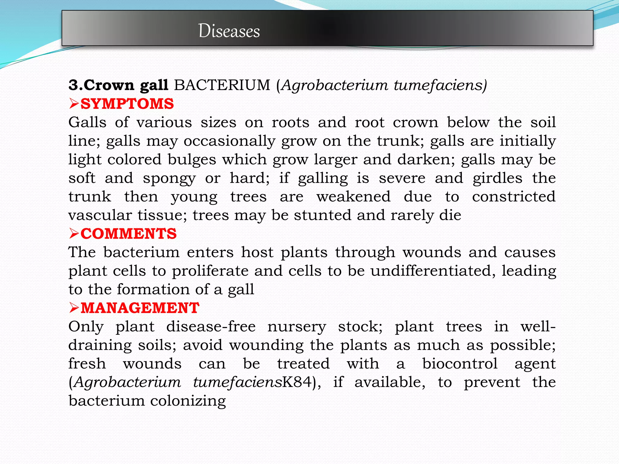 3.Crown gall BACTERIUM (Agrobacterium tumefaciens)
SYMPTOMS
Galls of various sizes on roots and root crown below the soil
line; galls may occasionally grow on the trunk; galls are initially
light colored bulges which grow larger and darken; galls may be
soft and spongy or hard; if galling is severe and girdles the
trunk then young trees are weakened due to constricted
vascular tissue; trees may be stunted and rarely die
COMMENTS
The bacterium enters host plants through wounds and causes
plant cells to proliferate and cells to be undifferentiated, leading
to the formation of a gall
MANAGEMENT
Only plant disease-free nursery stock; plant trees in well-
draining soils; avoid wounding the plants as much as possible;
fresh wounds can be treated with a biocontrol agent
(Agrobacterium tumefaciensK84), if available, to prevent the
bacterium colonizing
Diseases
 