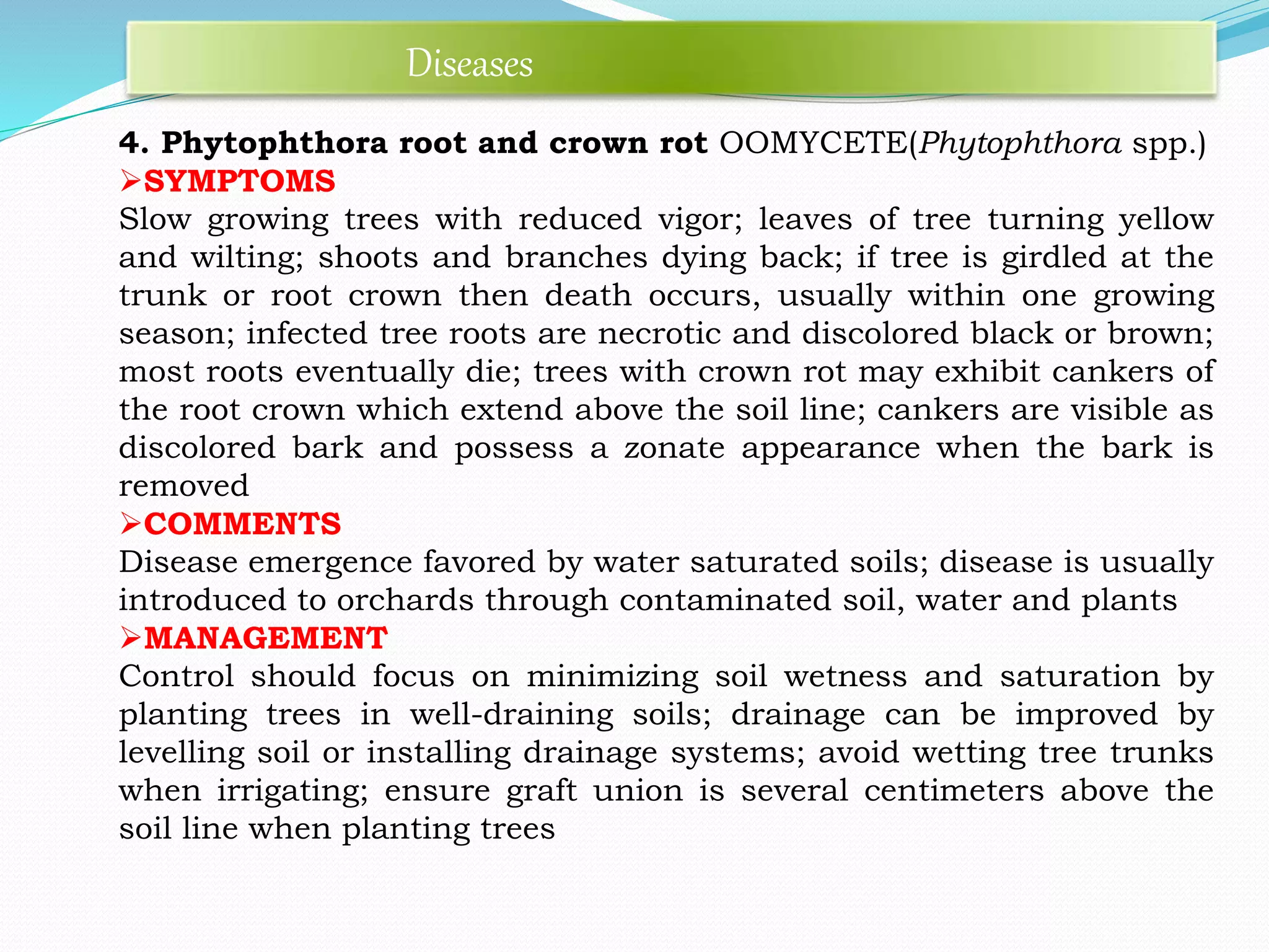 4. Phytophthora root and crown rot OOMYCETE(Phytophthora spp.)
SYMPTOMS
Slow growing trees with reduced vigor; leaves of tree turning yellow
and wilting; shoots and branches dying back; if tree is girdled at the
trunk or root crown then death occurs, usually within one growing
season; infected tree roots are necrotic and discolored black or brown;
most roots eventually die; trees with crown rot may exhibit cankers of
the root crown which extend above the soil line; cankers are visible as
discolored bark and possess a zonate appearance when the bark is
removed
COMMENTS
Disease emergence favored by water saturated soils; disease is usually
introduced to orchards through contaminated soil, water and plants
MANAGEMENT
Control should focus on minimizing soil wetness and saturation by
planting trees in well-draining soils; drainage can be improved by
levelling soil or installing drainage systems; avoid wetting tree trunks
when irrigating; ensure graft union is several centimeters above the
soil line when planting trees
Diseases
 
