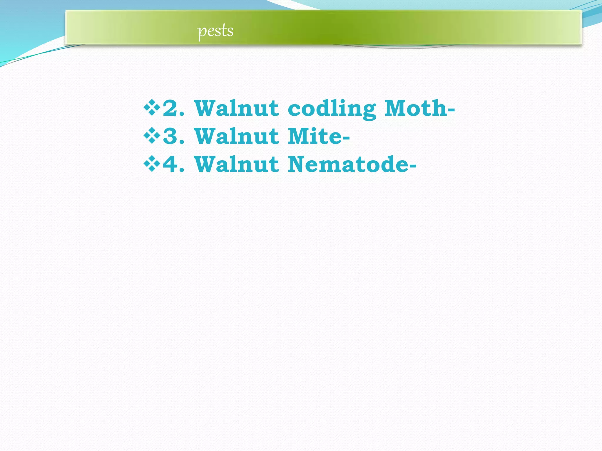 2. Walnut codling Moth-
3. Walnut Mite-
4. Walnut Nematode-
pests
 