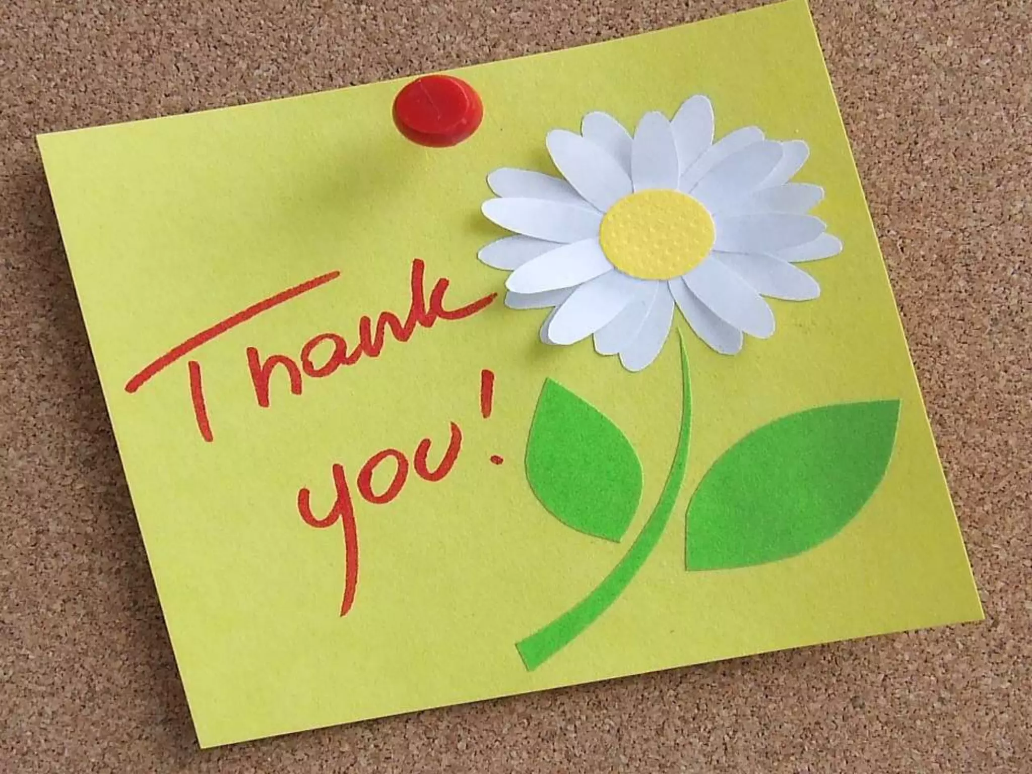 Advanced  production technology of walnut