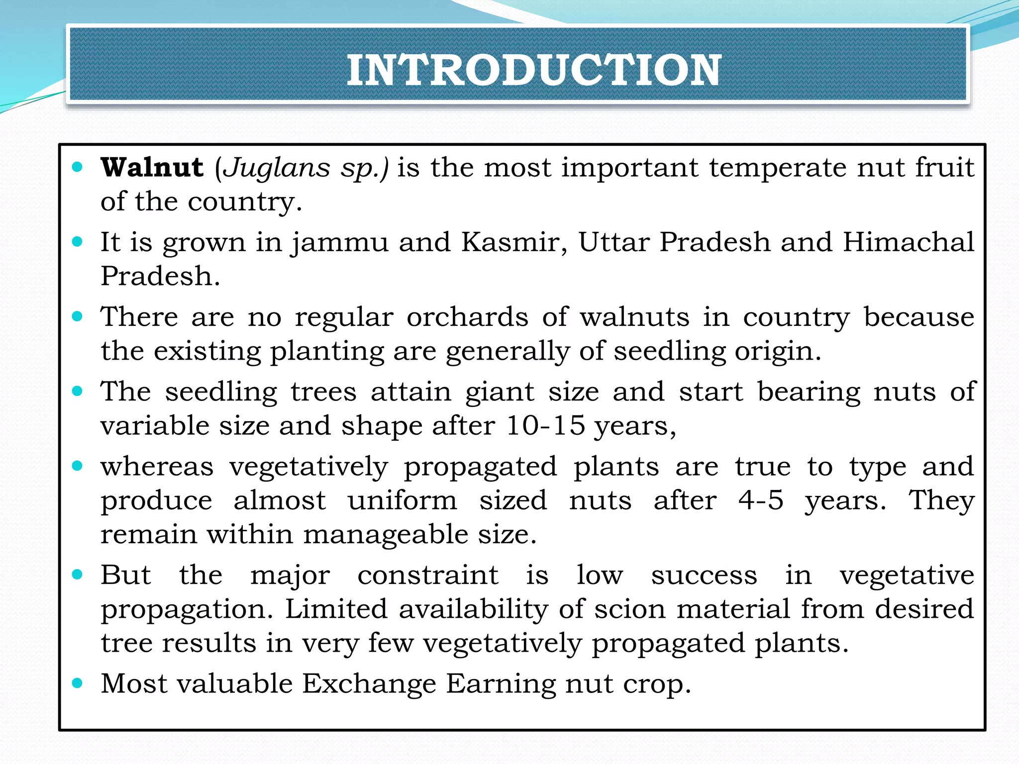 INTRODUCTION
 Walnut (Juglans sp.) is the most important temperate nut fruit
of the country.
 It is grown in jammu and Kasmir, Uttar Pradesh and Himachal
Pradesh.
 There are no regular orchards of walnuts in country because
the existing planting are generally of seedling origin.
 The seedling trees attain giant size and start bearing nuts of
variable size and shape after 10-15 years,
 whereas vegetatively propagated plants are true to type and
produce almost uniform sized nuts after 4-5 years. They
remain within manageable size.
 But the major constraint is low success in vegetative
propagation. Limited availability of scion material from desired
tree results in very few vegetatively propagated plants.
 Most valuable Exchange Earning nut crop.
 