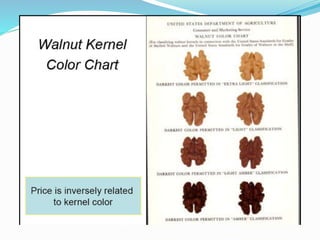 Advanced production technology of walnut | PPTX