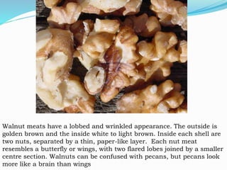 English walnut and Black walnut differ in the number of leaflets, the shape of the
leaflets, and the leaflet margin. black...