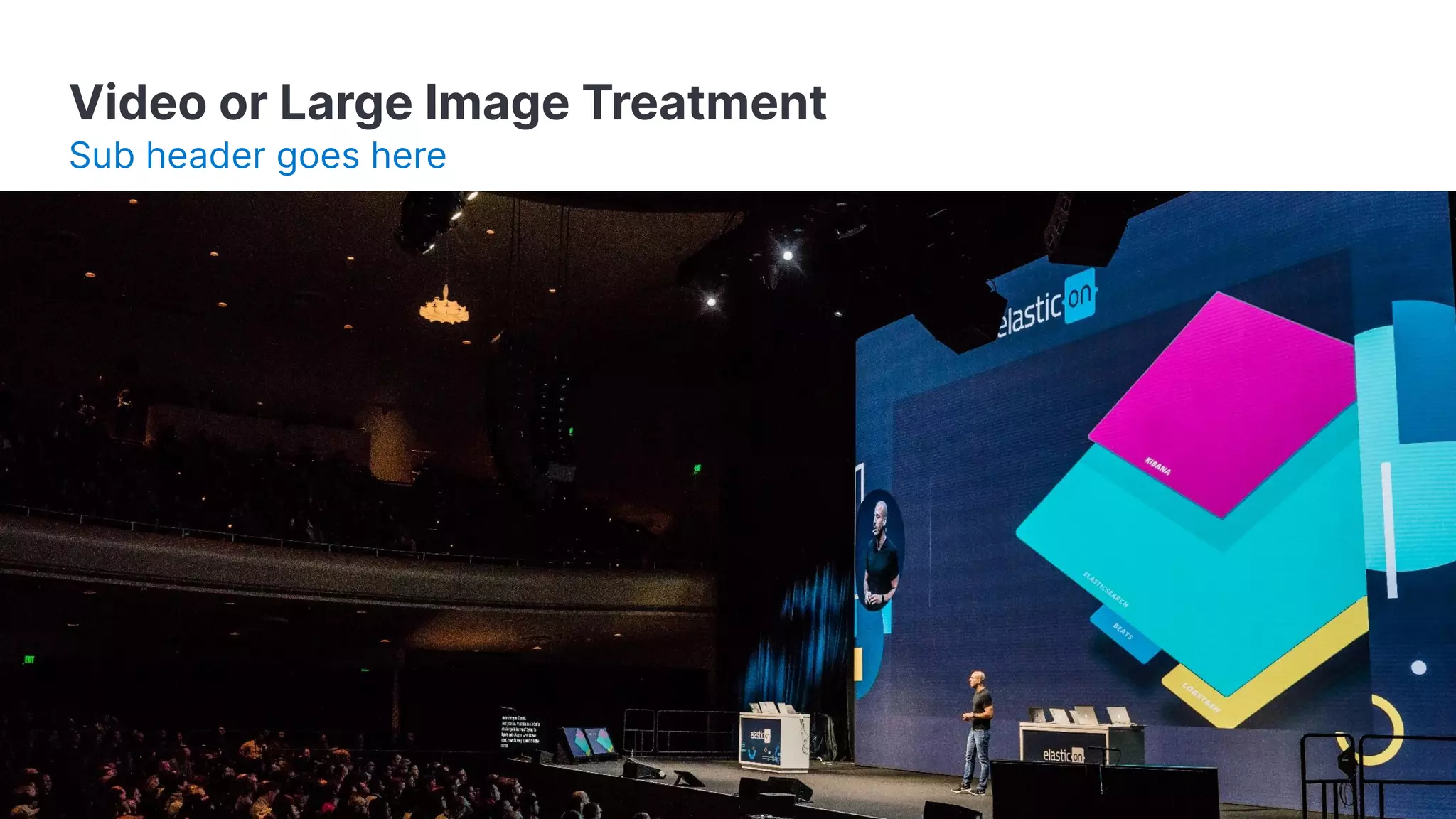 Video or Large Image Treatment Sub header goes here 