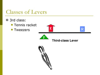 Classes of Levers <ul><li>3rd class: </li></ul><ul><ul><li>Tennis racket  </li></ul></ul><ul><ul><li>Tweezers  </li></ul><...