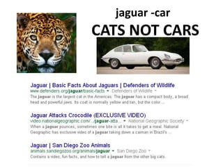 CATS NOT CARS
jaguar -car
 