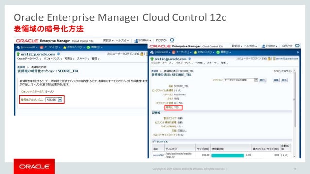 Oracle Advanced Security Transparent Data Encryptionのご紹介 | PPT