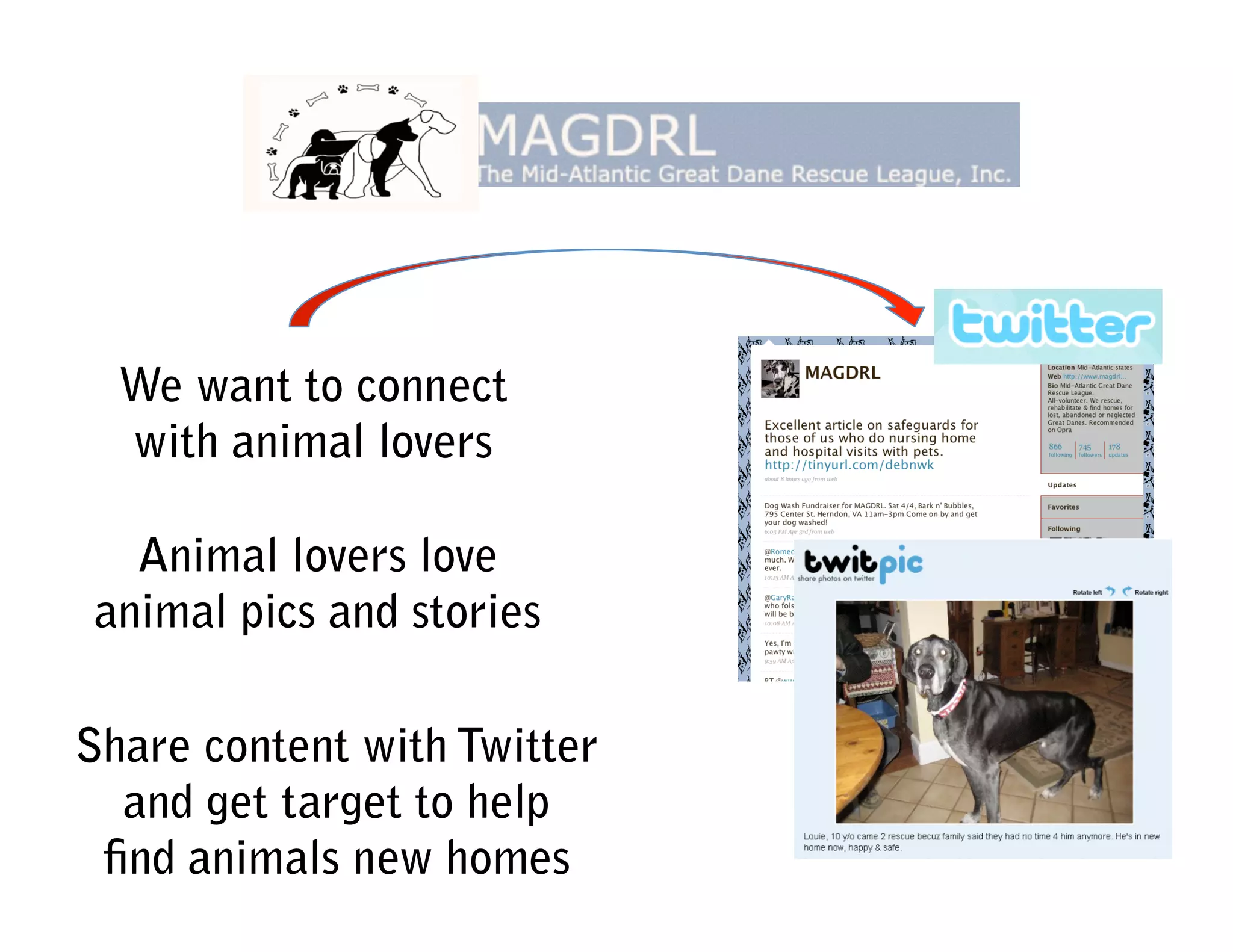 Developing a Social Media Plan