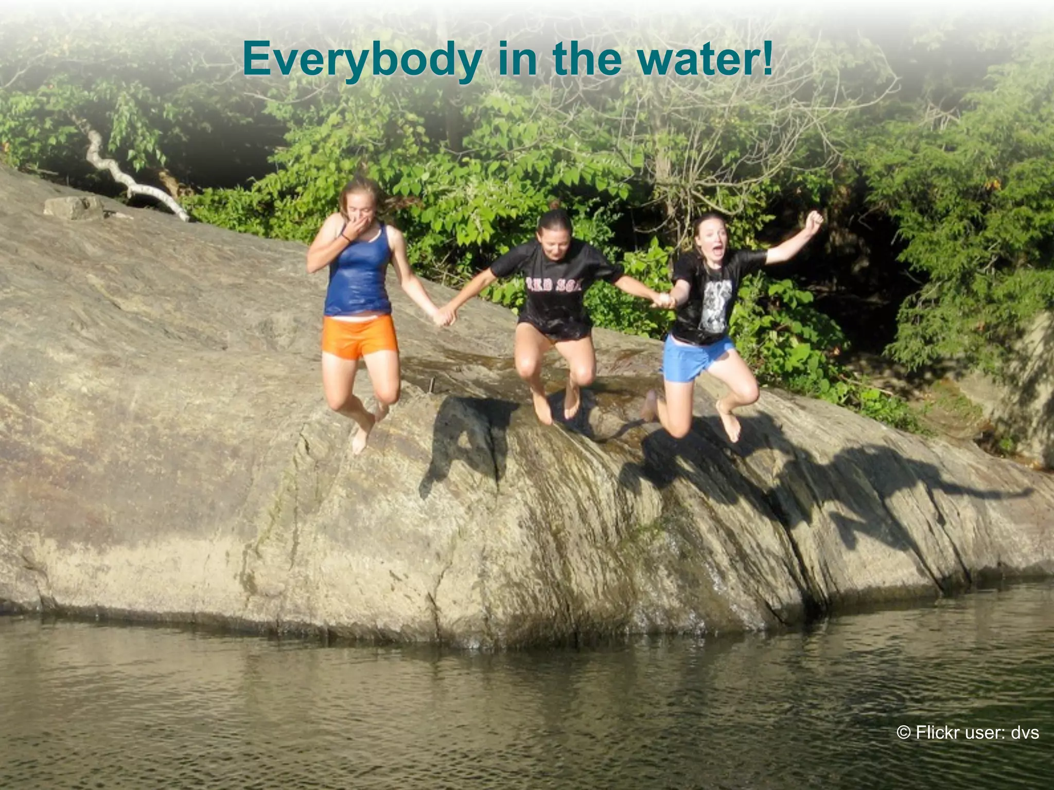 Everybody in the water!




                          © Flickr user: dvs
 