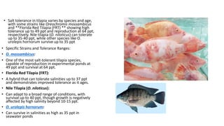 Advanced Strains of Tilapia and potential for Aquaculture in the world ...