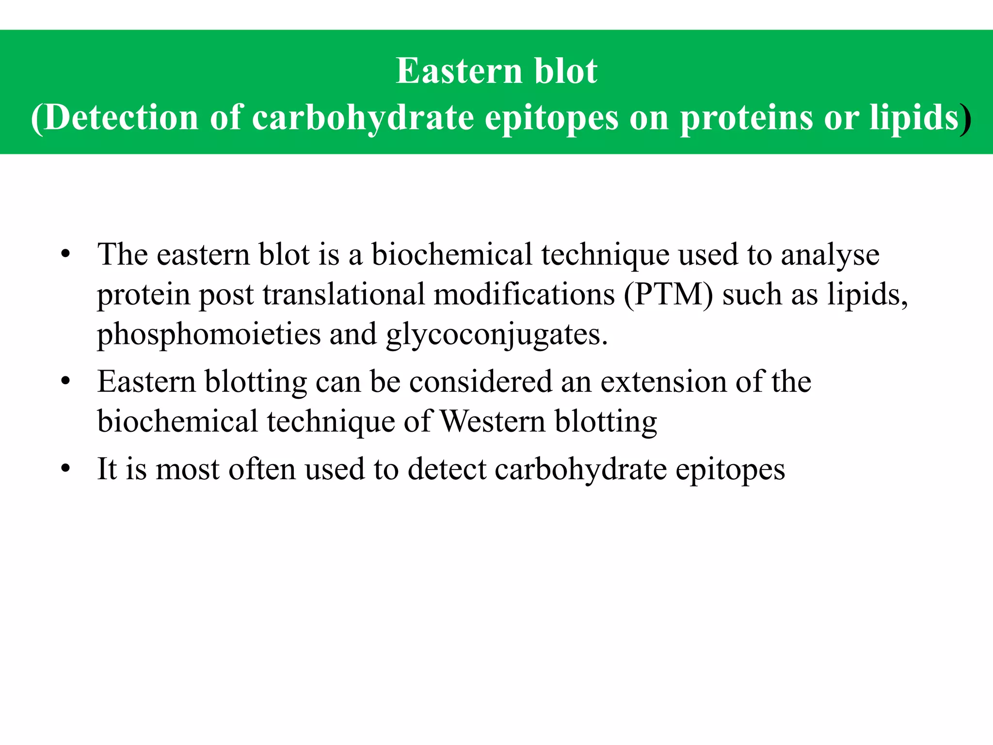 Eastern blot
(Detection of carbohydrate epitopes on proteins or lipids)
• The eastern blot is a biochemical technique used to analyse
protein post translational modifications (PTM) such as lipids,
phosphomoieties and glycoconjugates.
• Eastern blotting can be considered an extension of the
biochemical technique of Western blotting
• It is most often used to detect carbohydrate epitopes
 