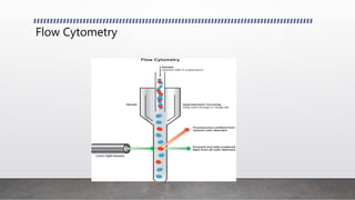 Flow Cytometry
 