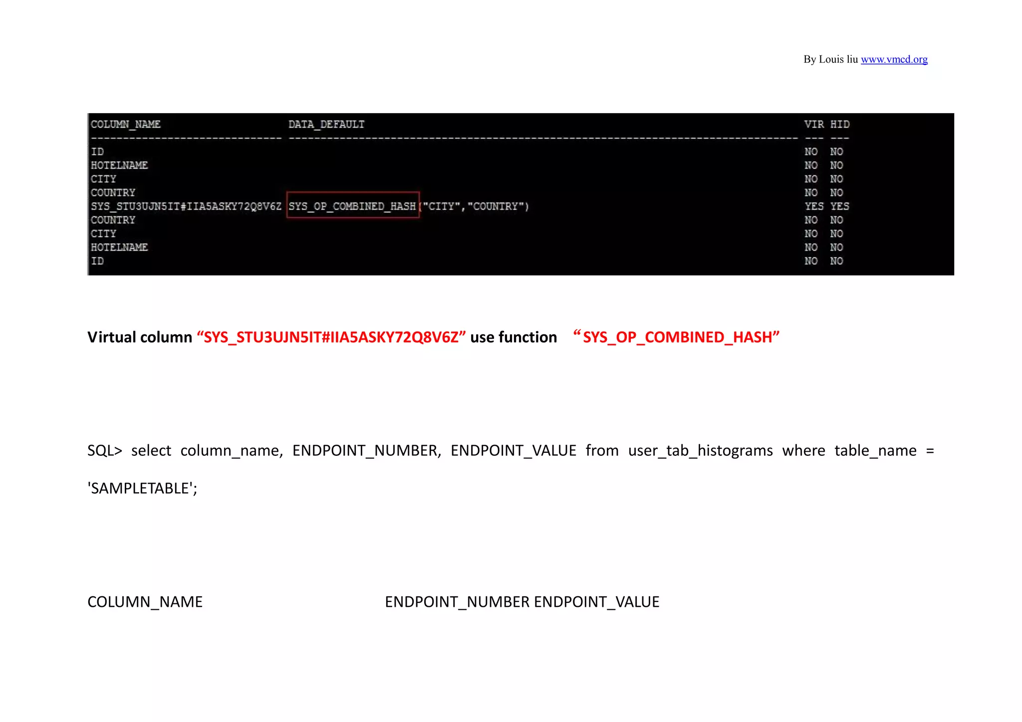 By Louis liu www.vmcd.org
Virtual column “SYS_STU3UJN5IT#IIA5ASKY72Q8V6Z” use function “SYS_OP_COMBINED_HASH”
SQL> select column_name, ENDPOINT_NUMBER, ENDPOINT_VALUE from user_tab_histograms where table_name =
'SAMPLETABLE';
COLUMN_NAME ENDPOINT_NUMBER ENDPOINT_VALUE
 